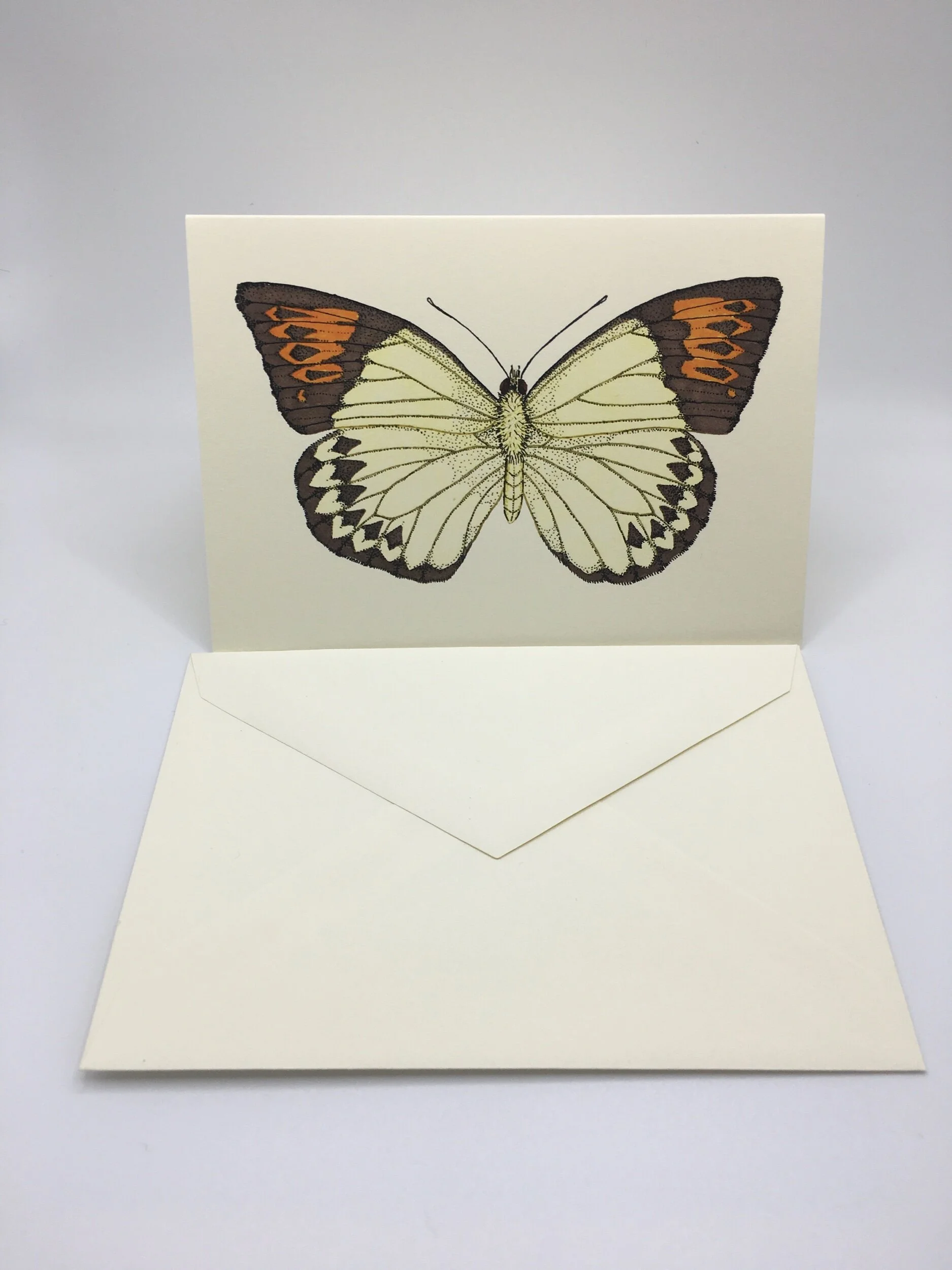 3F06FF85-D90F-4738-A967-14FABF9FB2E0