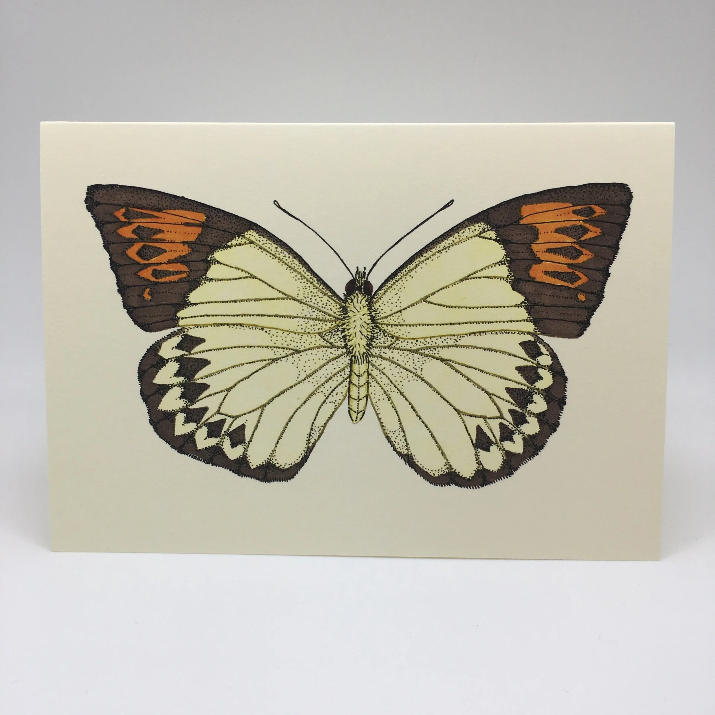 8D08893B-3E67-4BE7-9A9E-60C7E09EBDEF