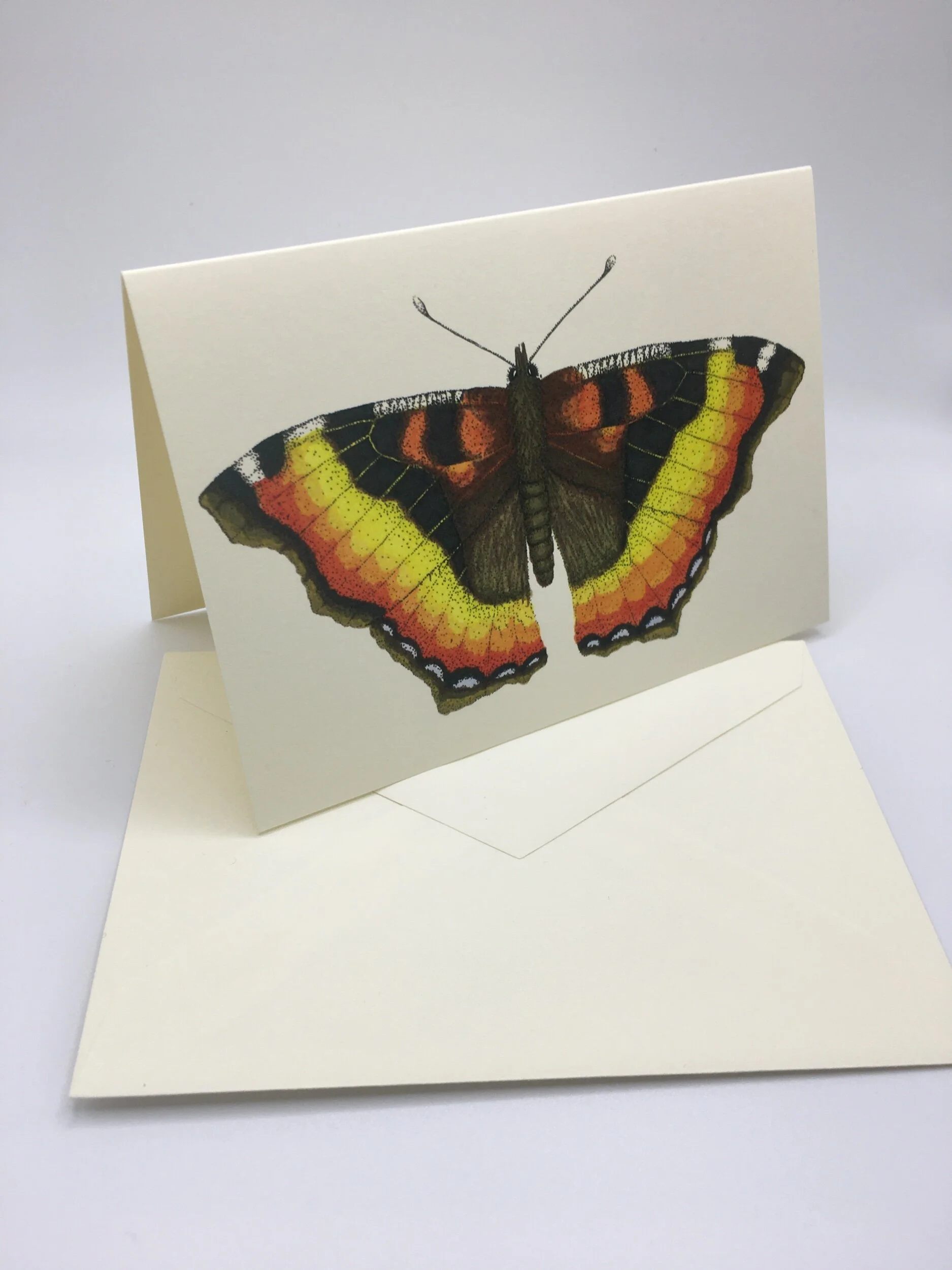 5452BCE8-5B45-44A7-B0F7-988B153657AF