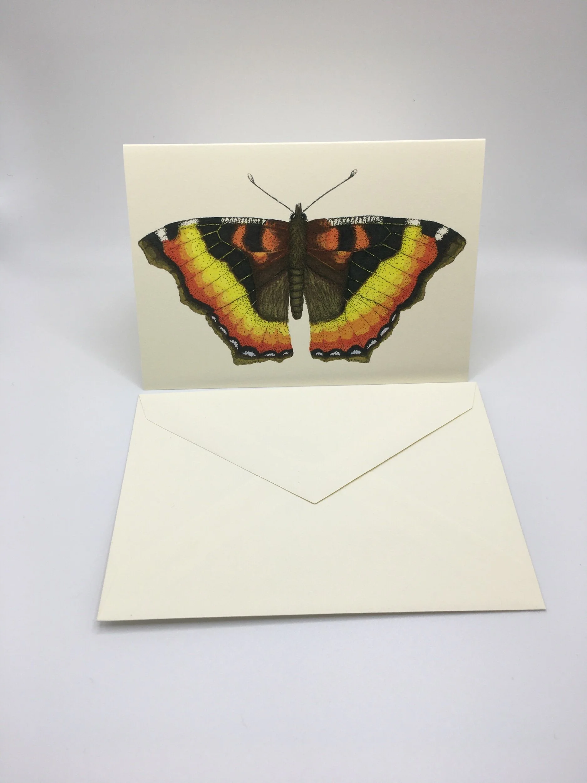 6464673E-3E9C-4305-B4B2-D42011515905