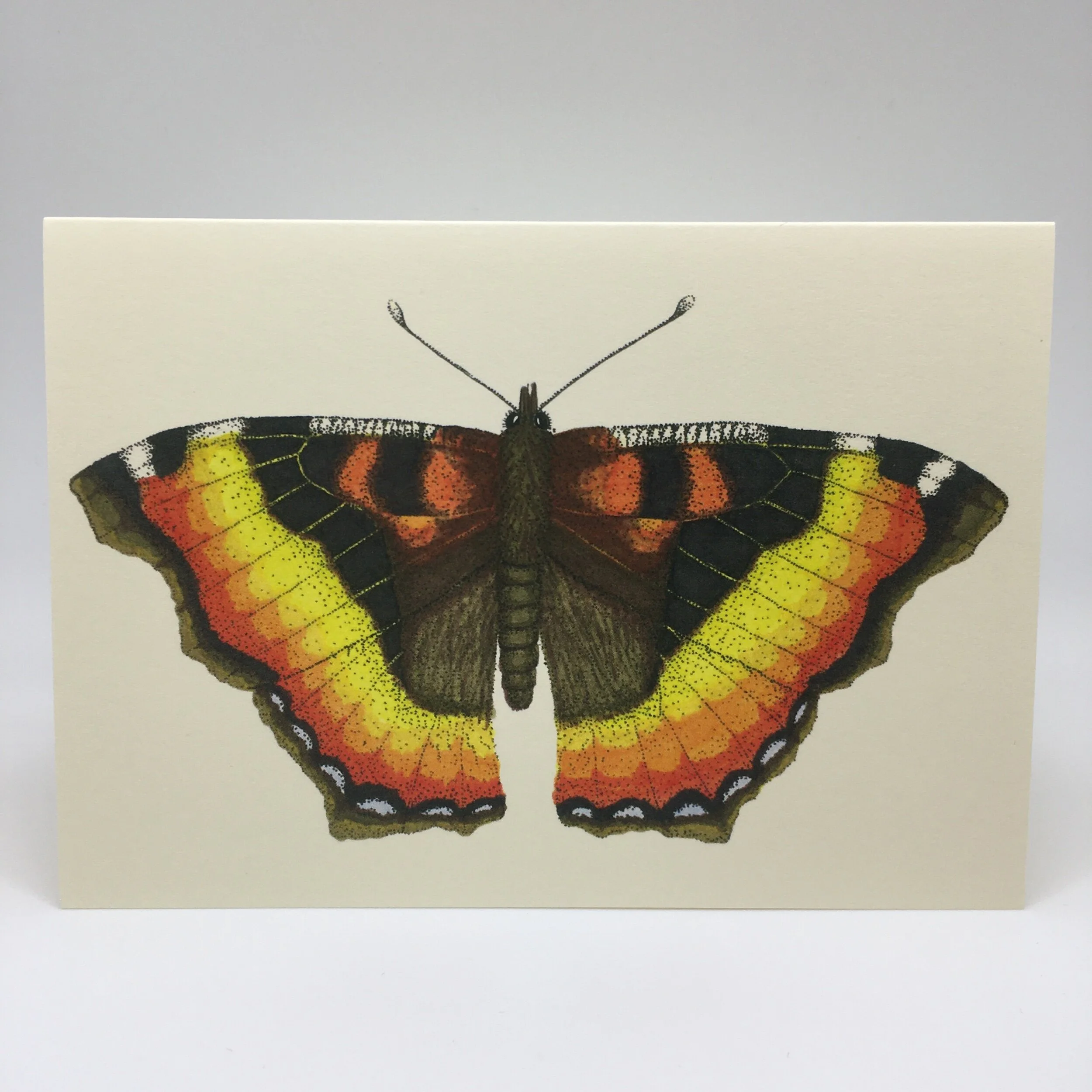 1C43E9C2-1934-48CD-9634-C825511F2D79