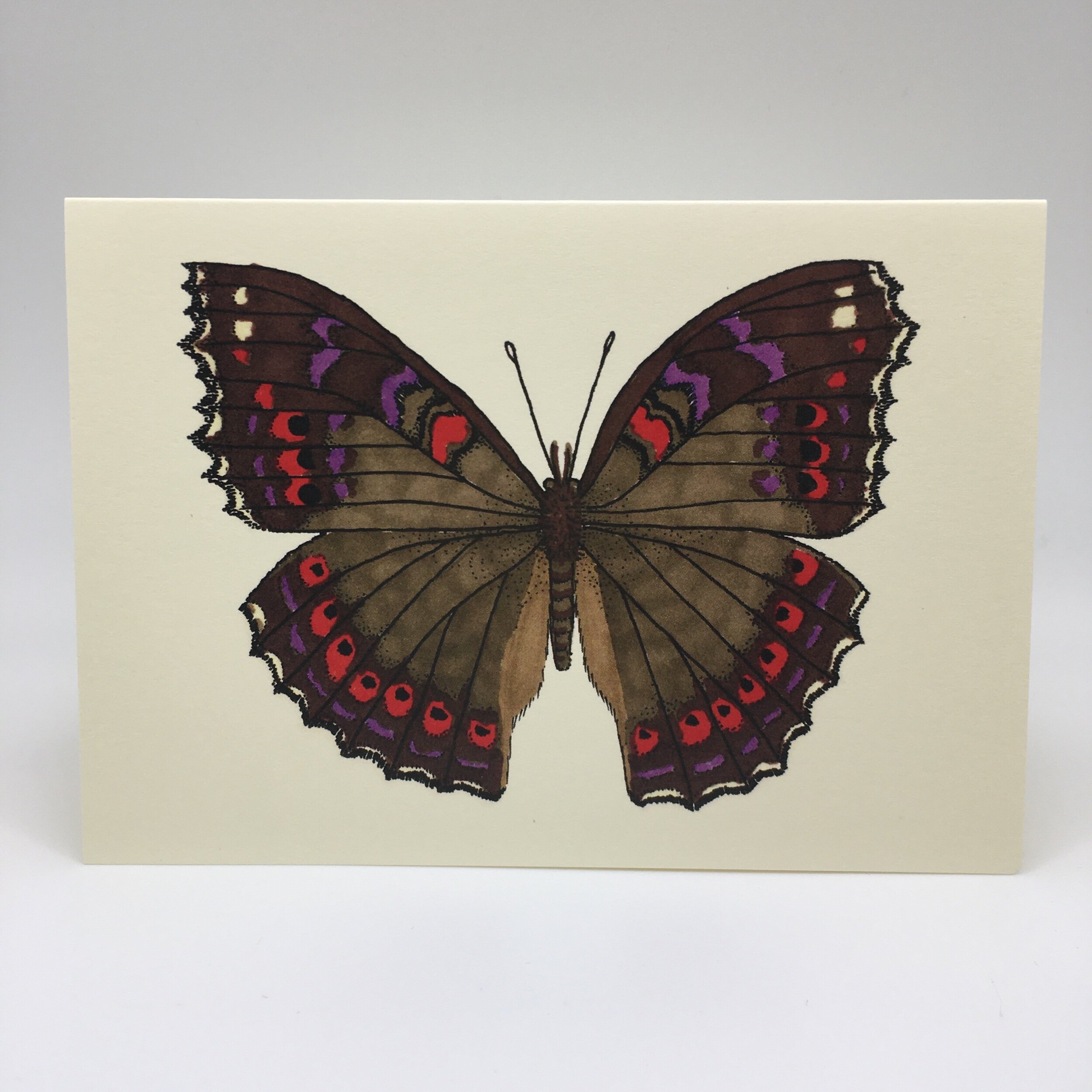 1C2A26CE-F8E2-4774-919B-6D701ABF27B1