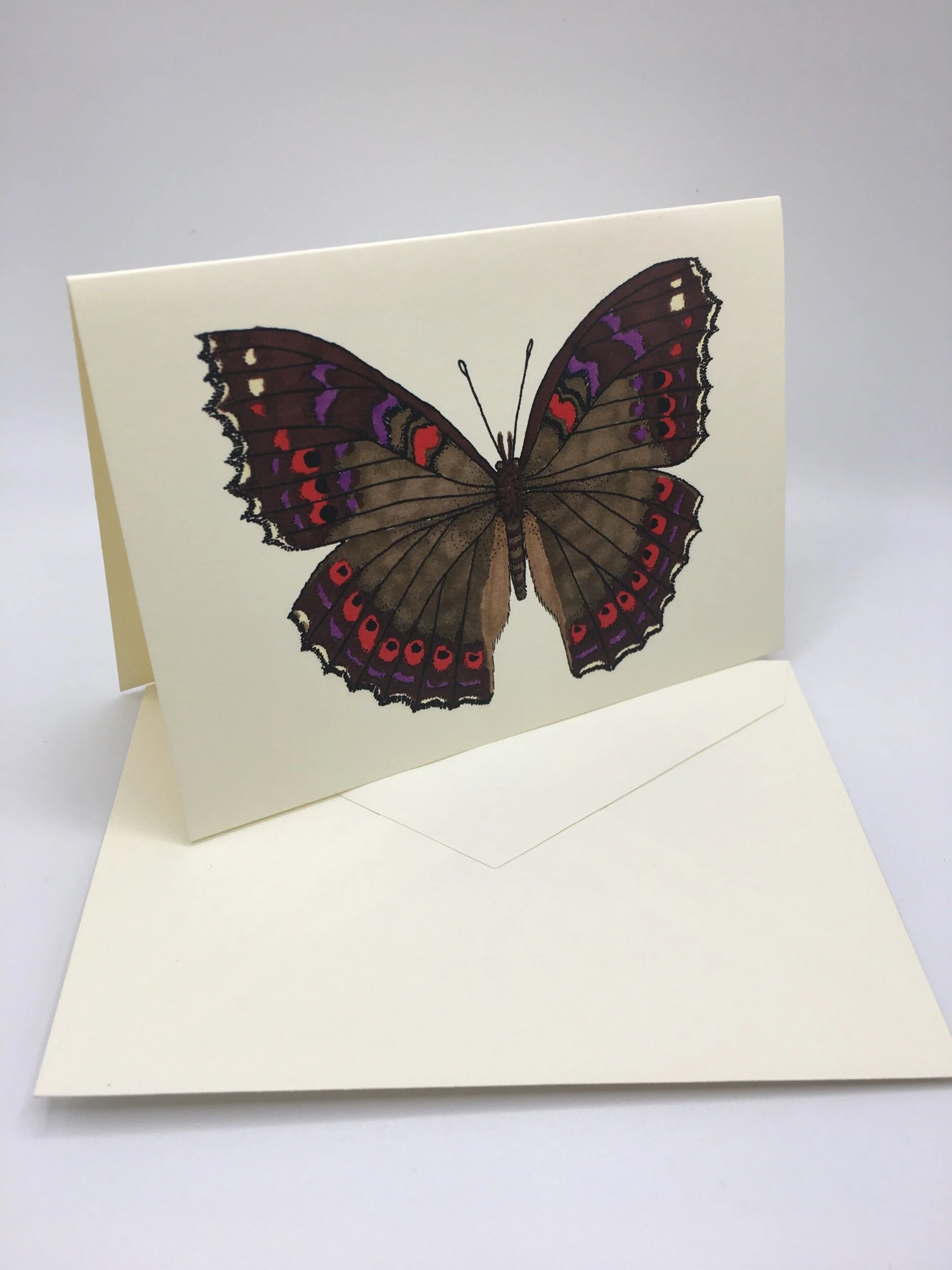 1630F02B-98AA-470C-AD3E-D753A0F8C3D6