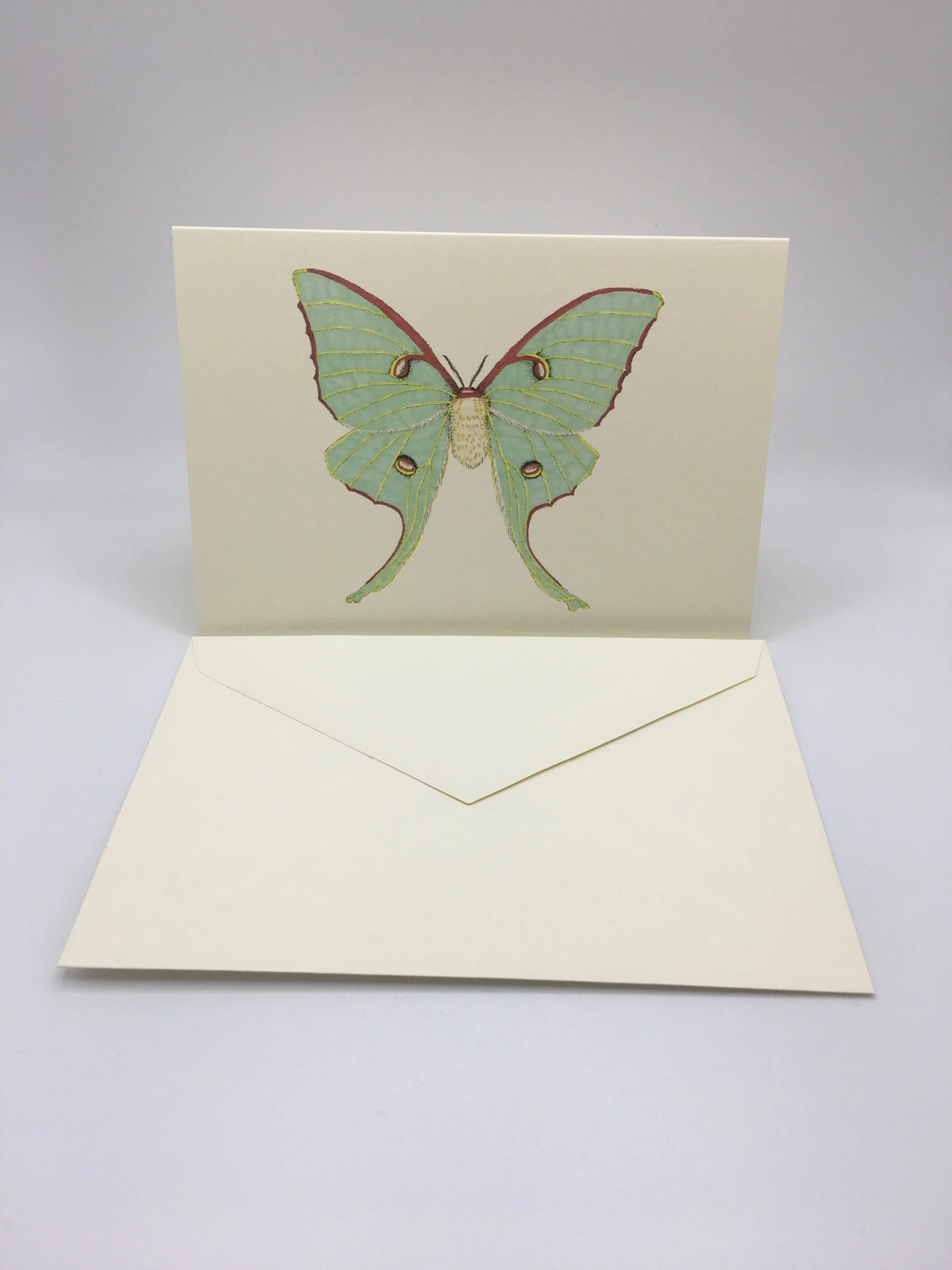 C0064A3B-7EAE-4680-8F61-FDEEE9E8B66A