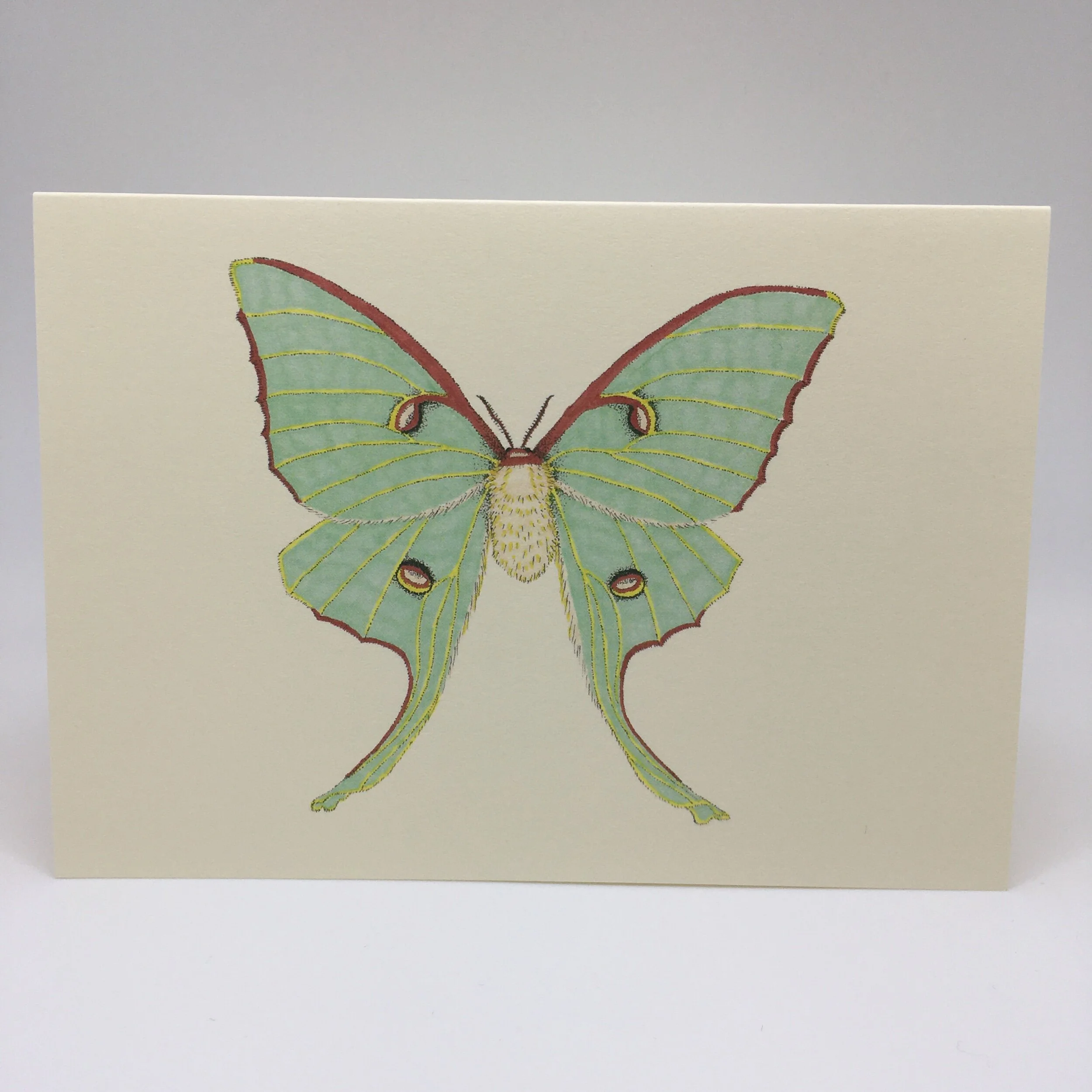 7E44FA63-3E62-41CF-8107-6698A2C62B47