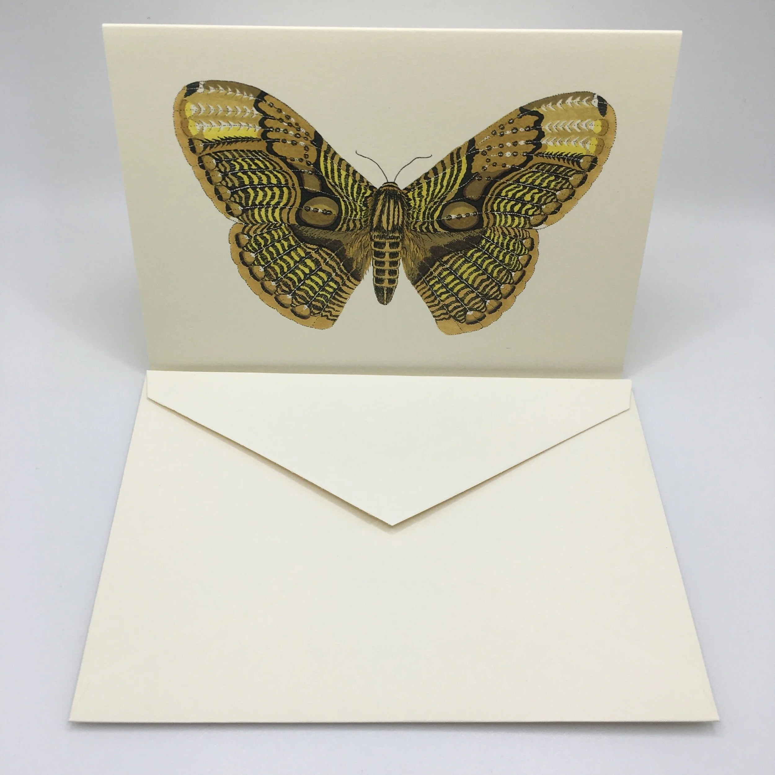 142B3AB6-E986-472B-A383-09492AB89E85