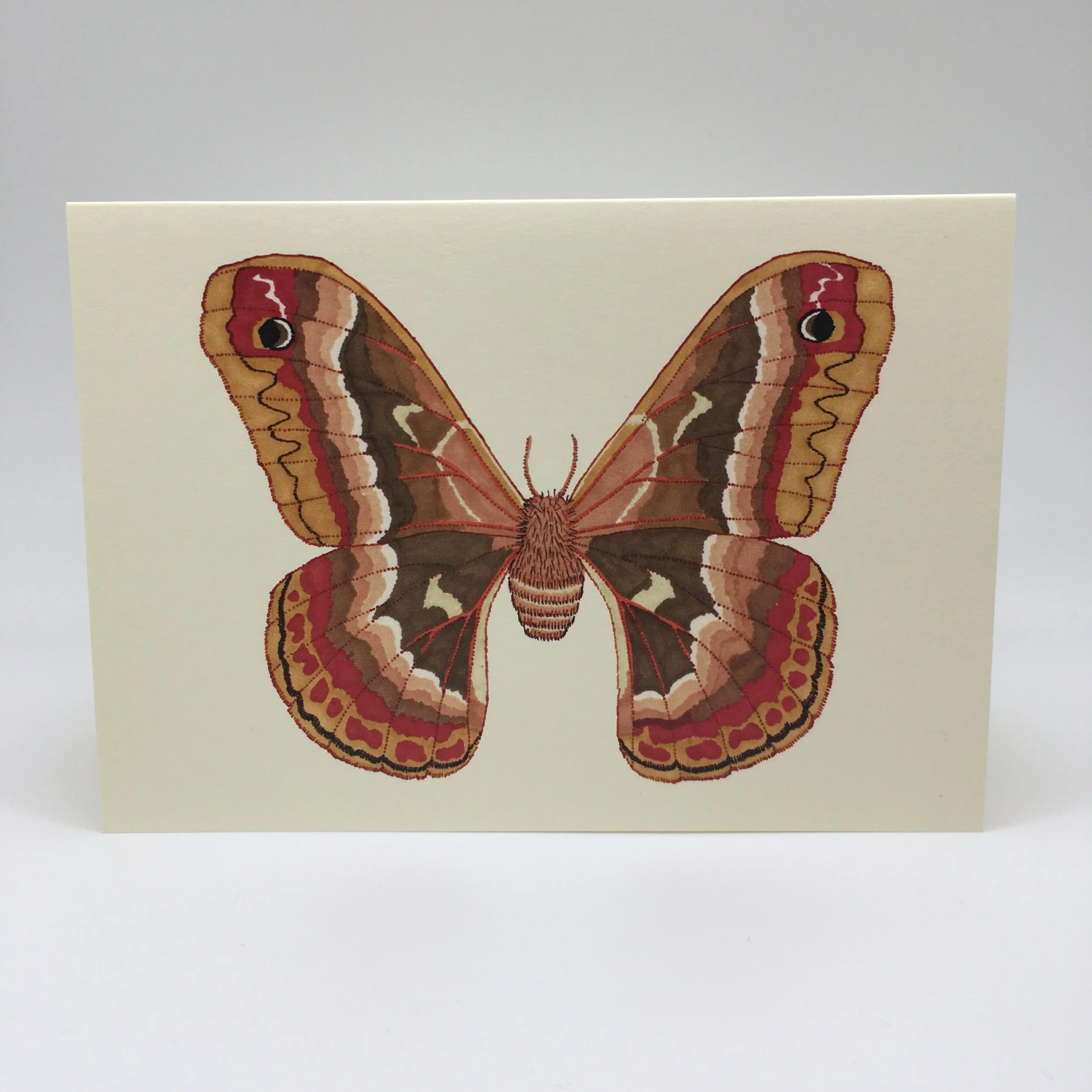 B447F3A8-2881-442C-ACCC-B14D3A633BD9