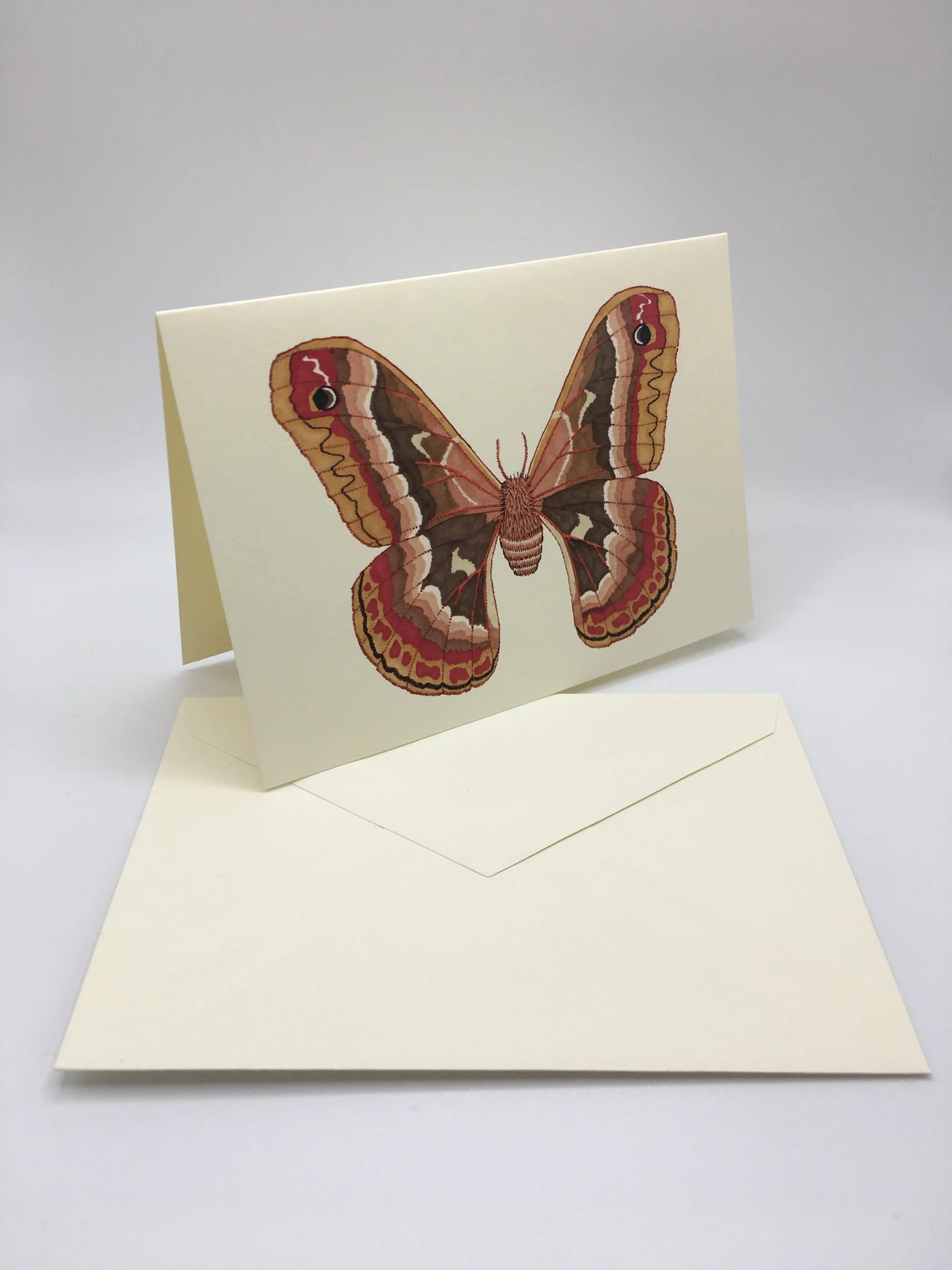 32E5852C-3C6E-4EA8-AC15-5B8CEECE0B99