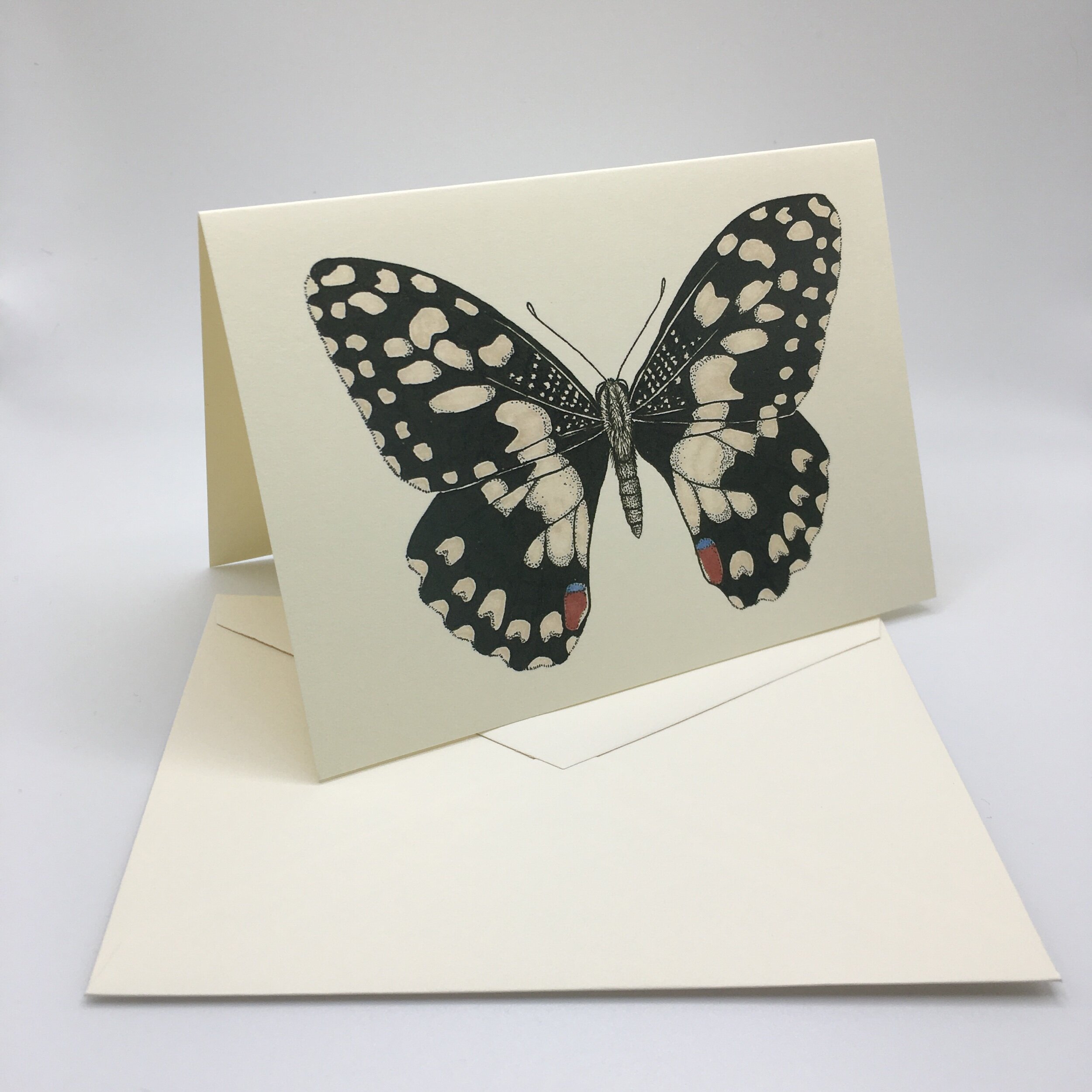 B6CC9BD5-E751-41FB-9F95-5AA7A6939FB1