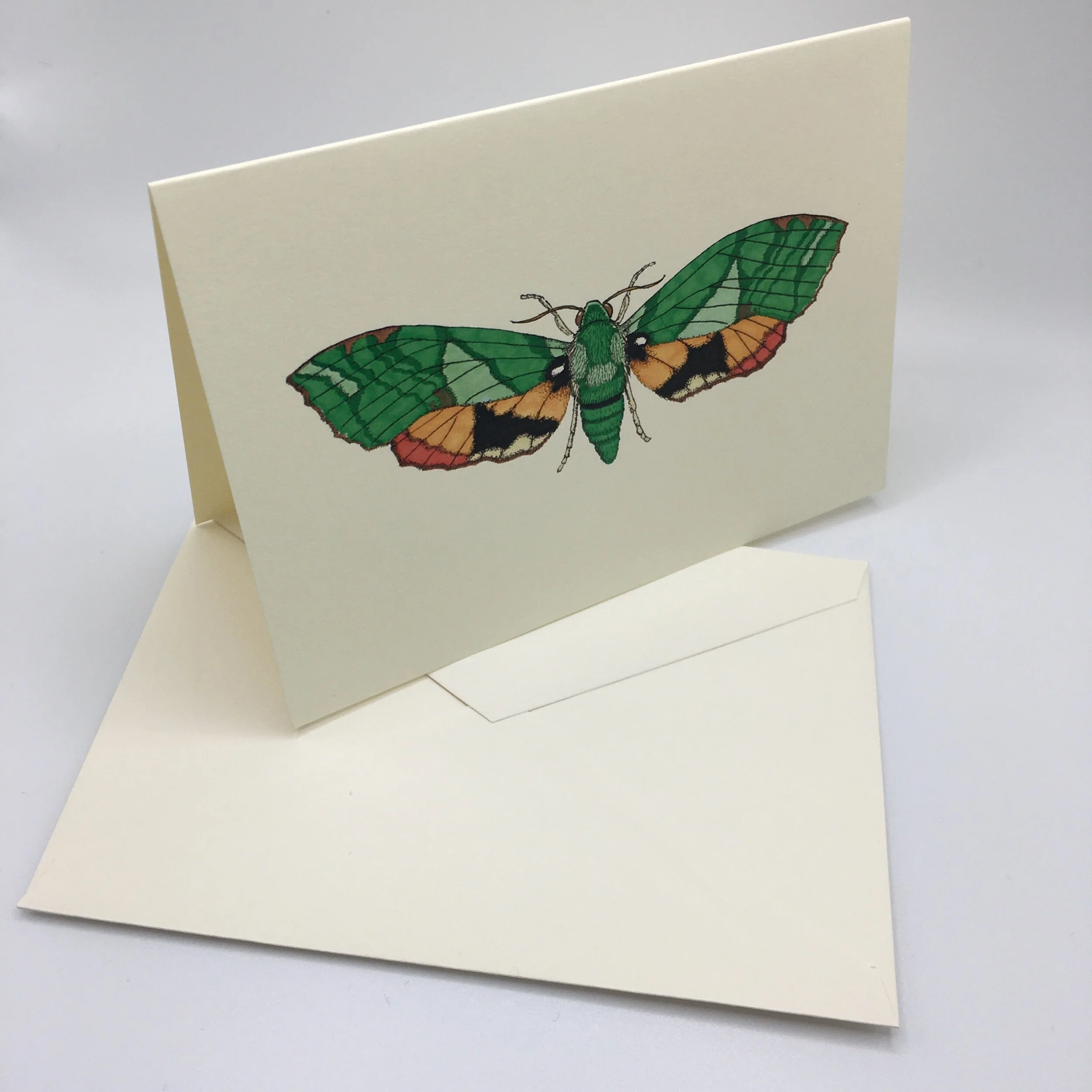 35CCAEFF-DD43-46E7-8A06-1F212281771D