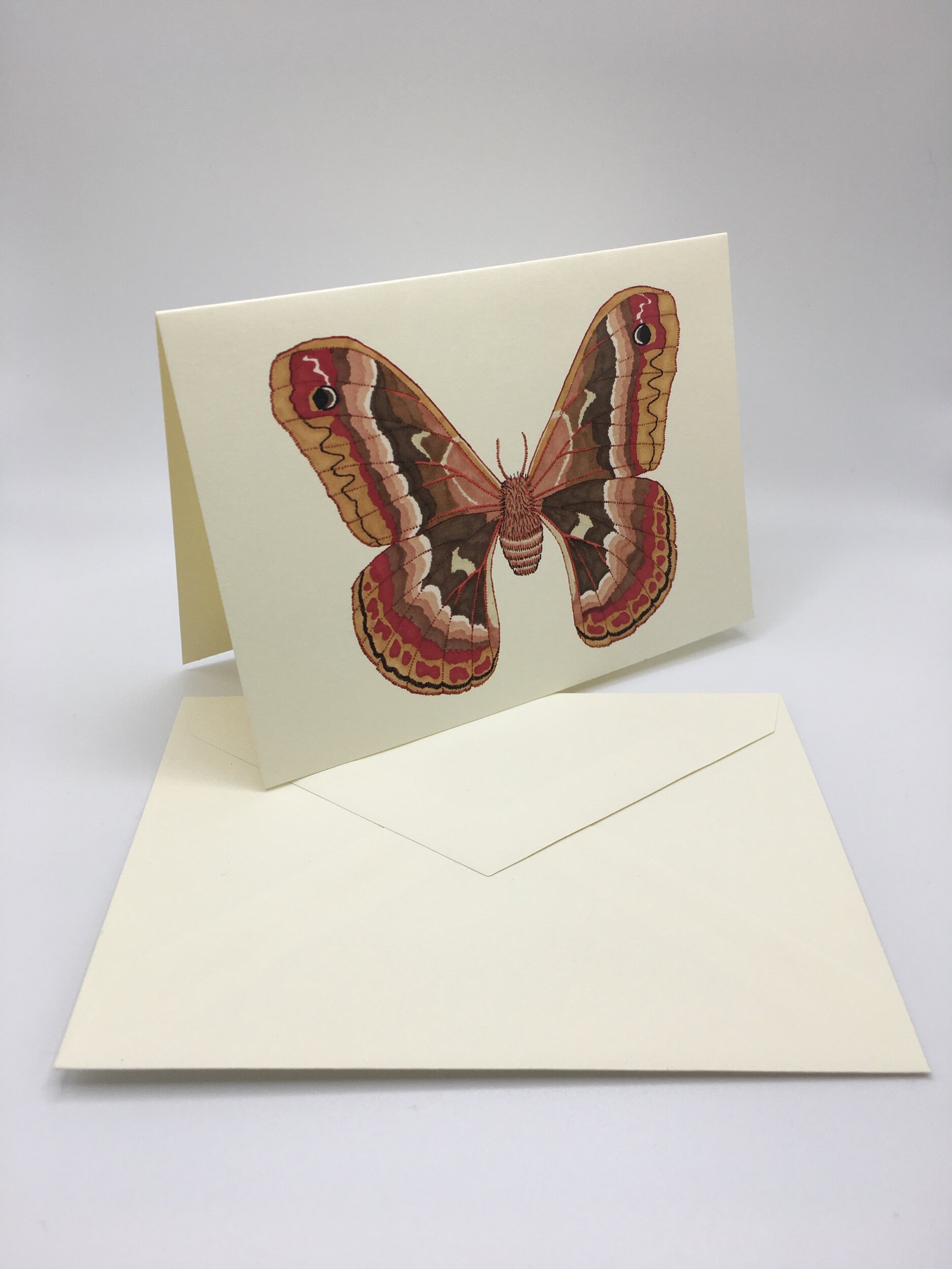 31DA9154-49BB-4941-897D-ED09DC93CEB9