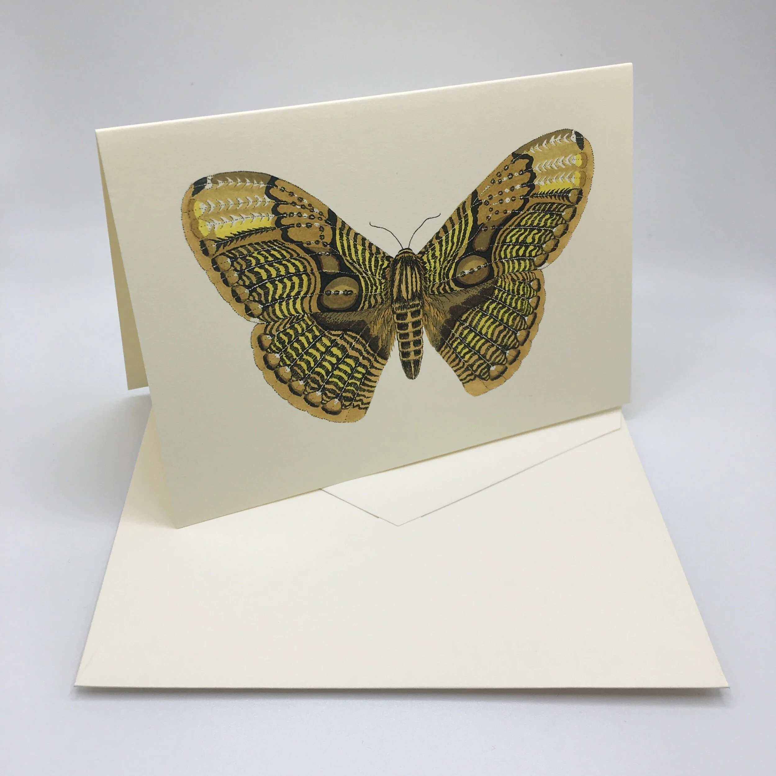 3182136C-FC19-46F2-9936-6ECF0E88AC1B