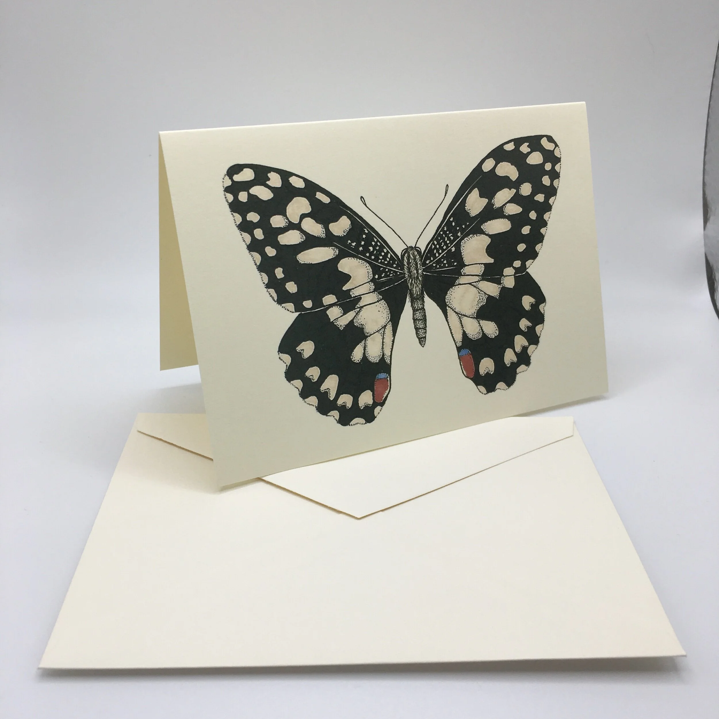 EBF112E3-5E7F-4723-ACD7-7A690DAFE397