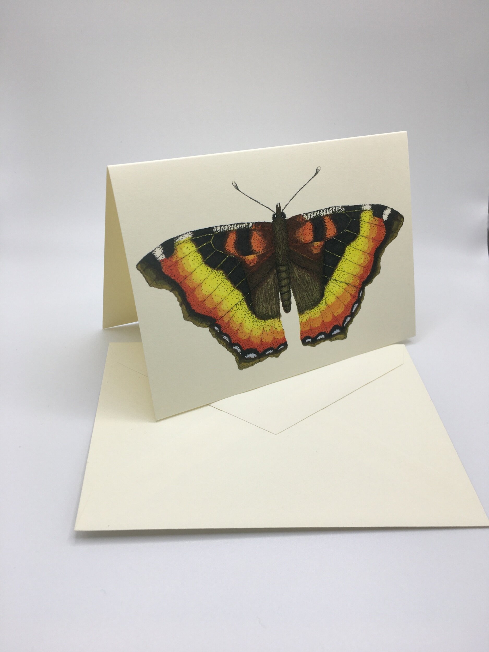 82B701C4-B6BC-40A5-8466-FEAE3068E828