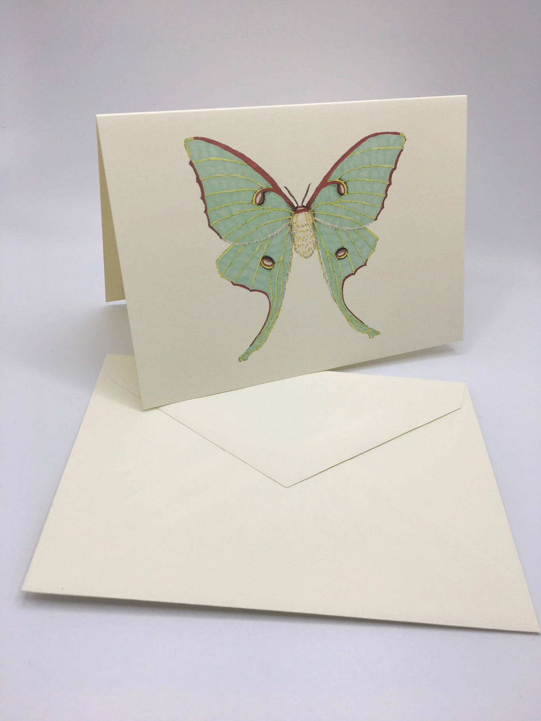 D0BB8CA6-61DE-4B06-874D-4C6E2DE416CE