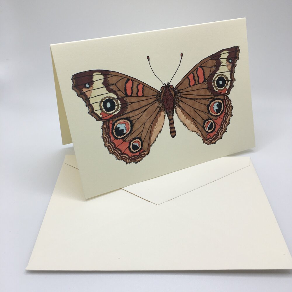 30 Monarch Butterfly Sticker Seals Sheet —mini cards Bridgette Jones Nature  Prints-Bridgette Jones Nature Prints