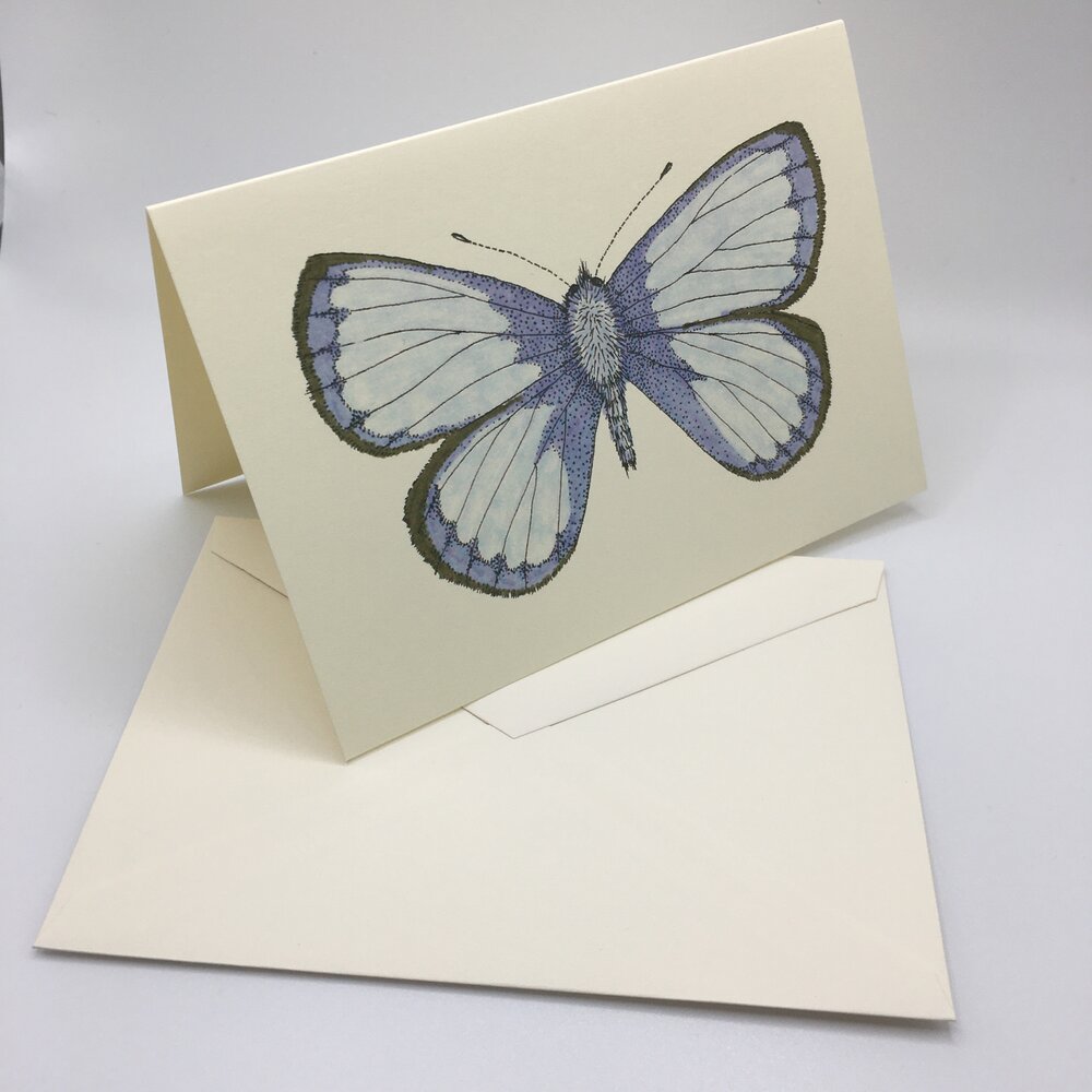 30 Monarch Butterfly Sticker Seals Sheet —mini cards Bridgette Jones Nature  Prints-Bridgette Jones Nature Prints