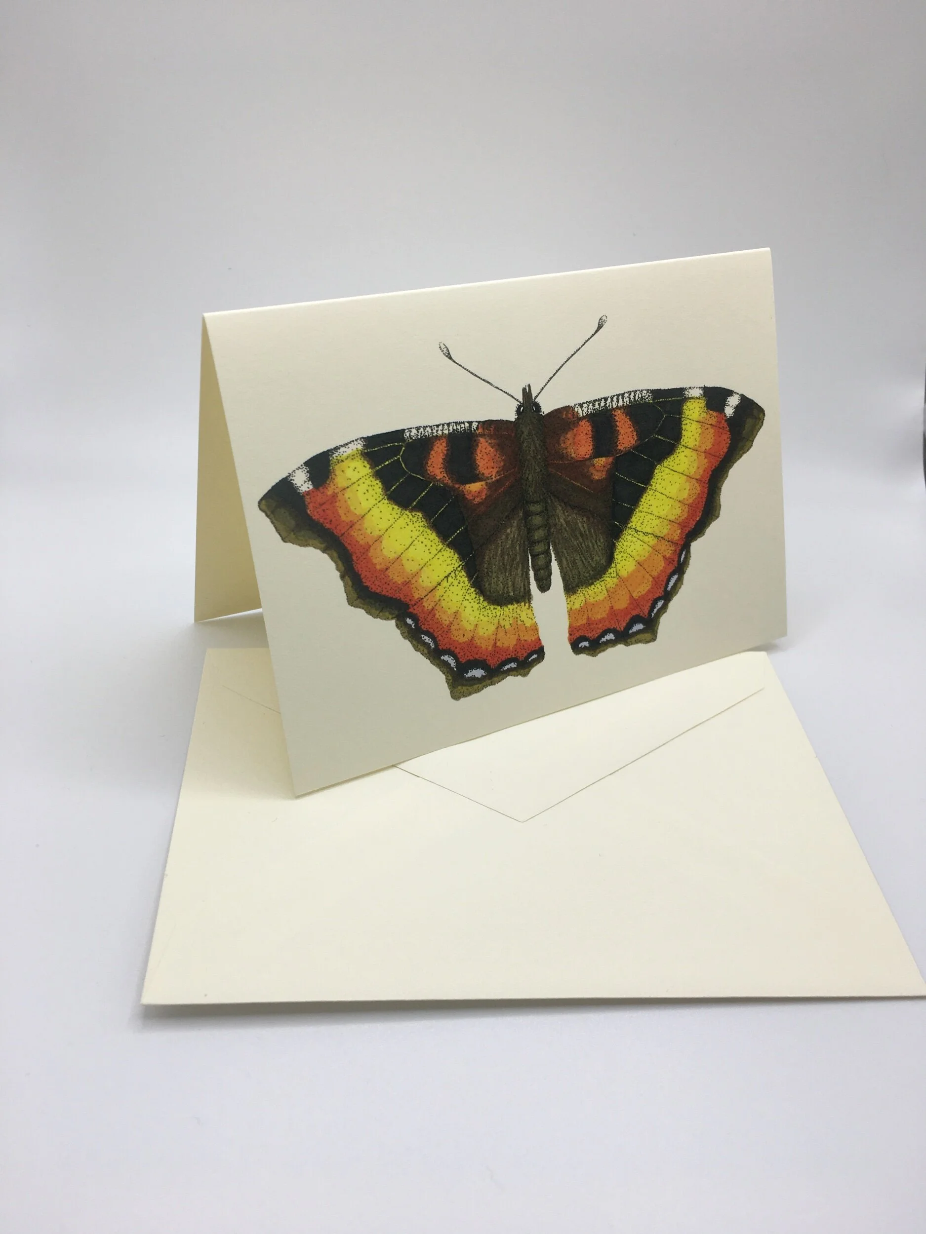 1B8BA27E-947D-4349-8296-7070C0A94CC4