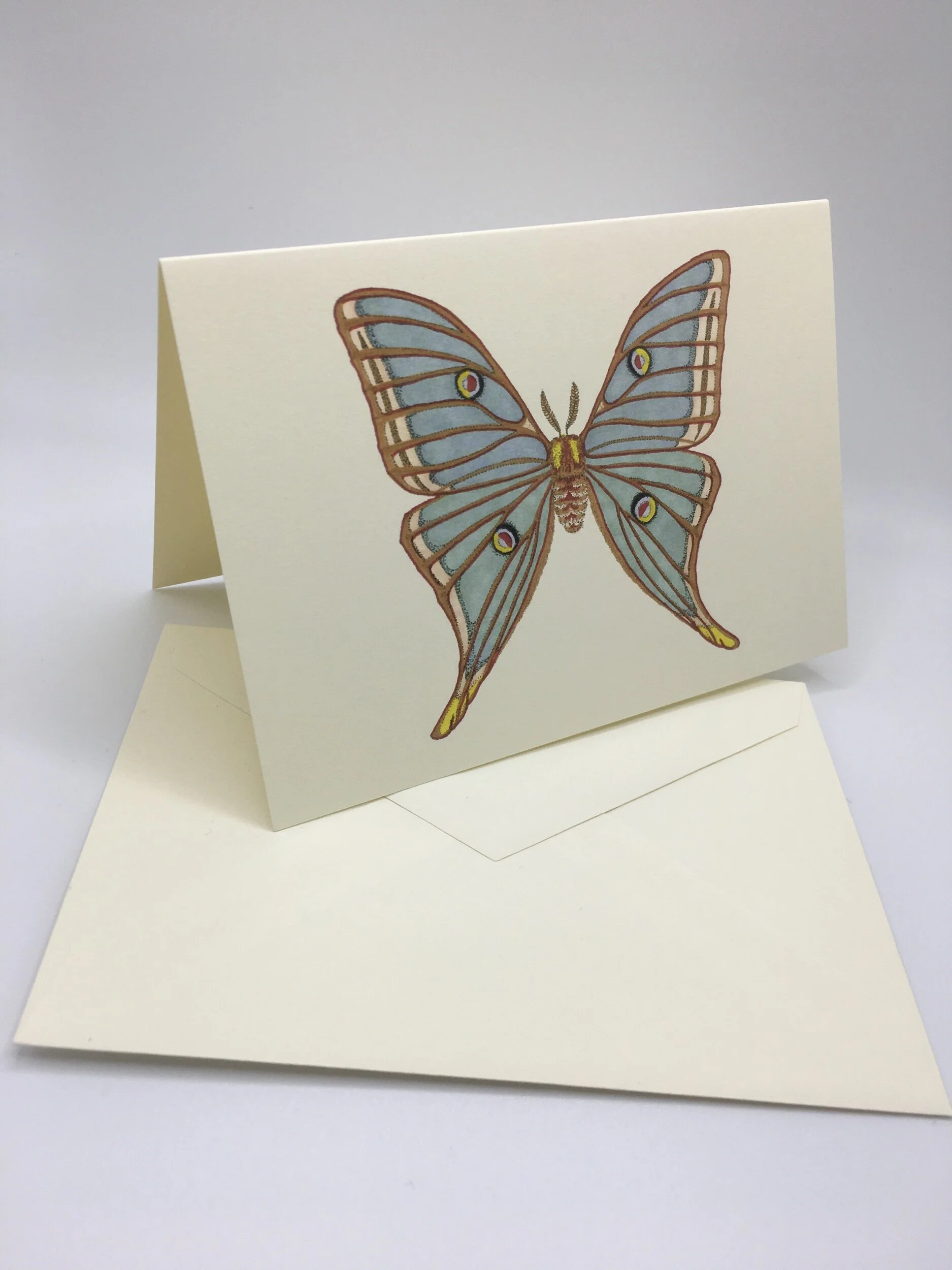 80DAF36E-2E75-417B-9B75-4E2C2B2E3403