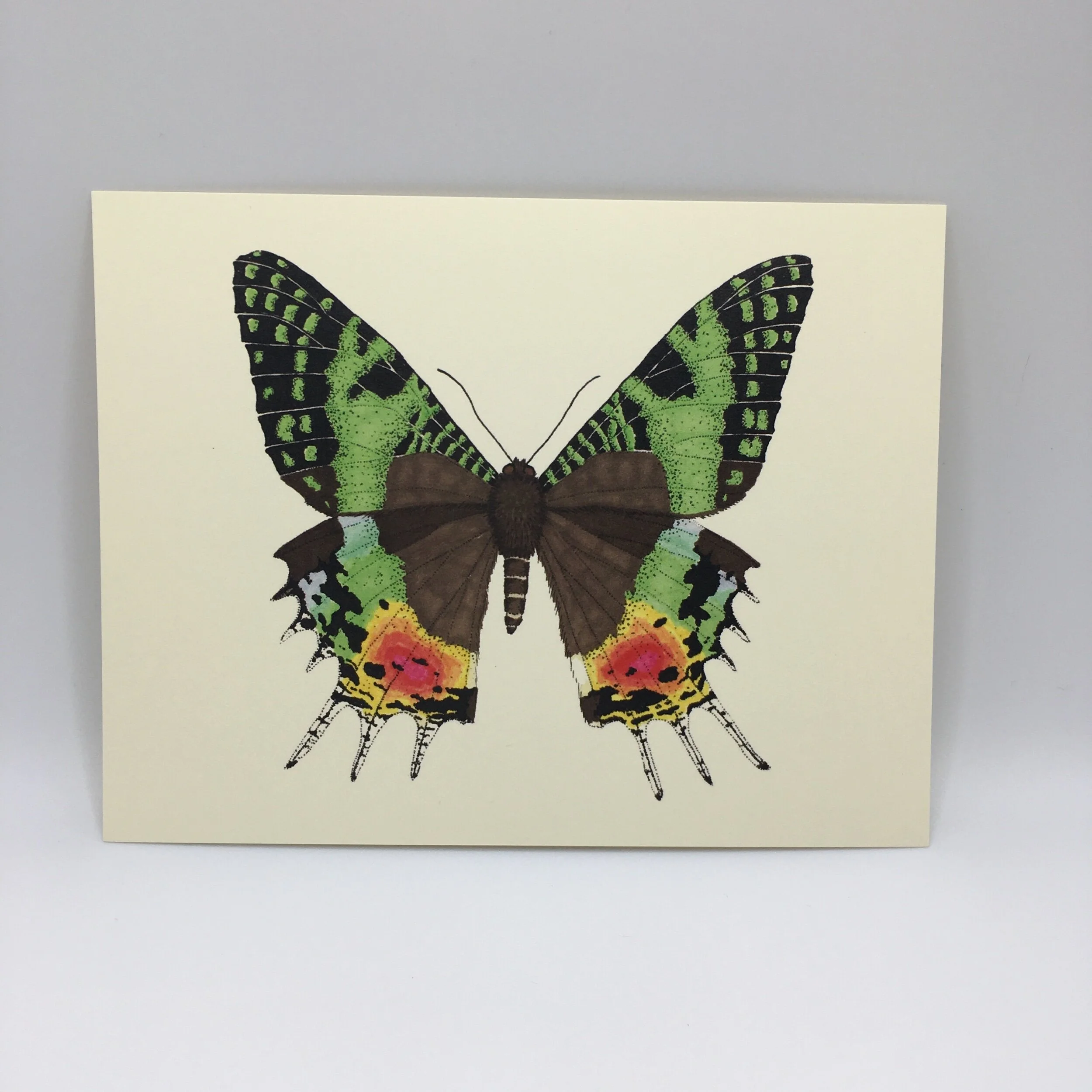 853A84AD-EB64-40B2-957C-5A5EFD0102A2