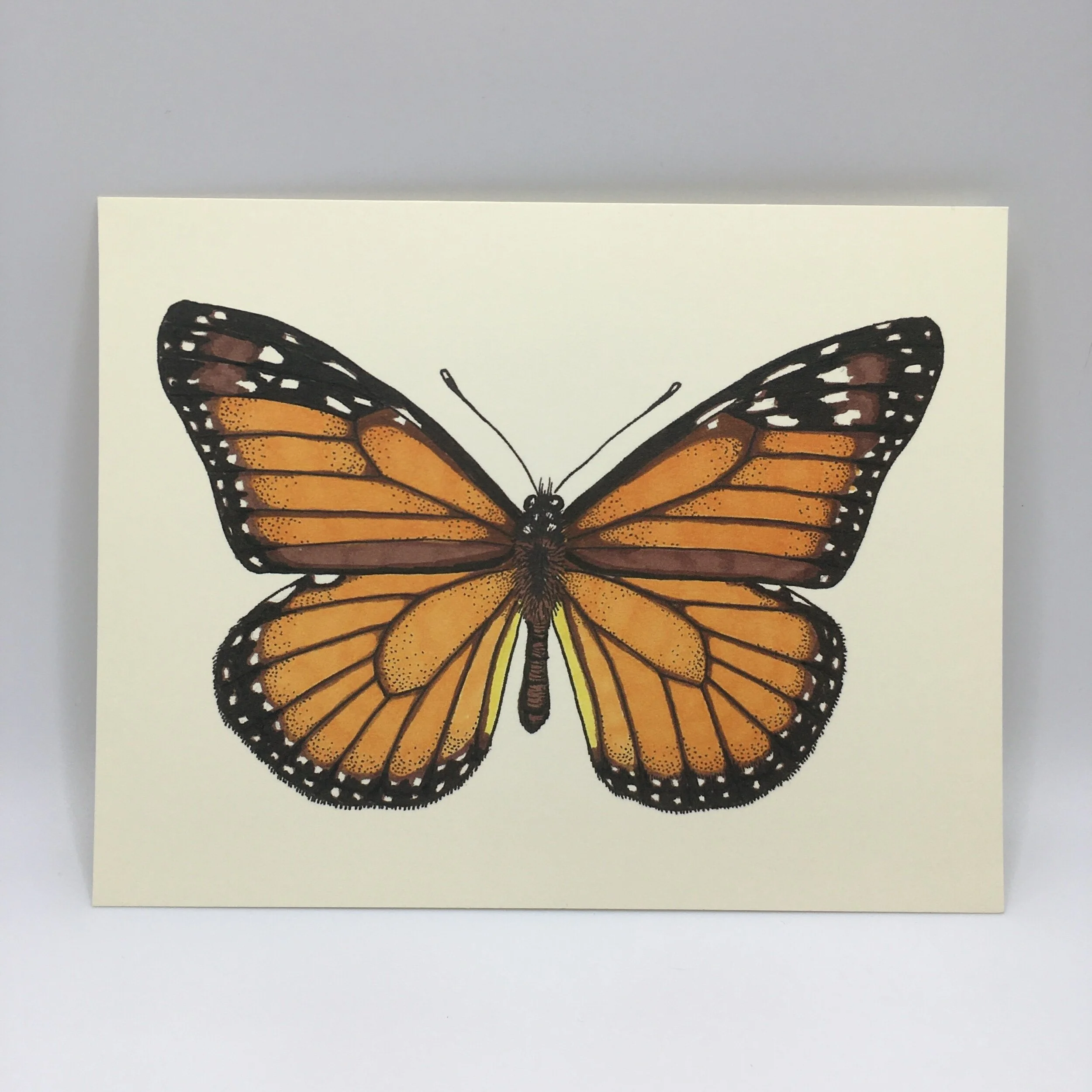 8FA0D32E-07DF-4BDC-97A5-7B8CEA703A2E