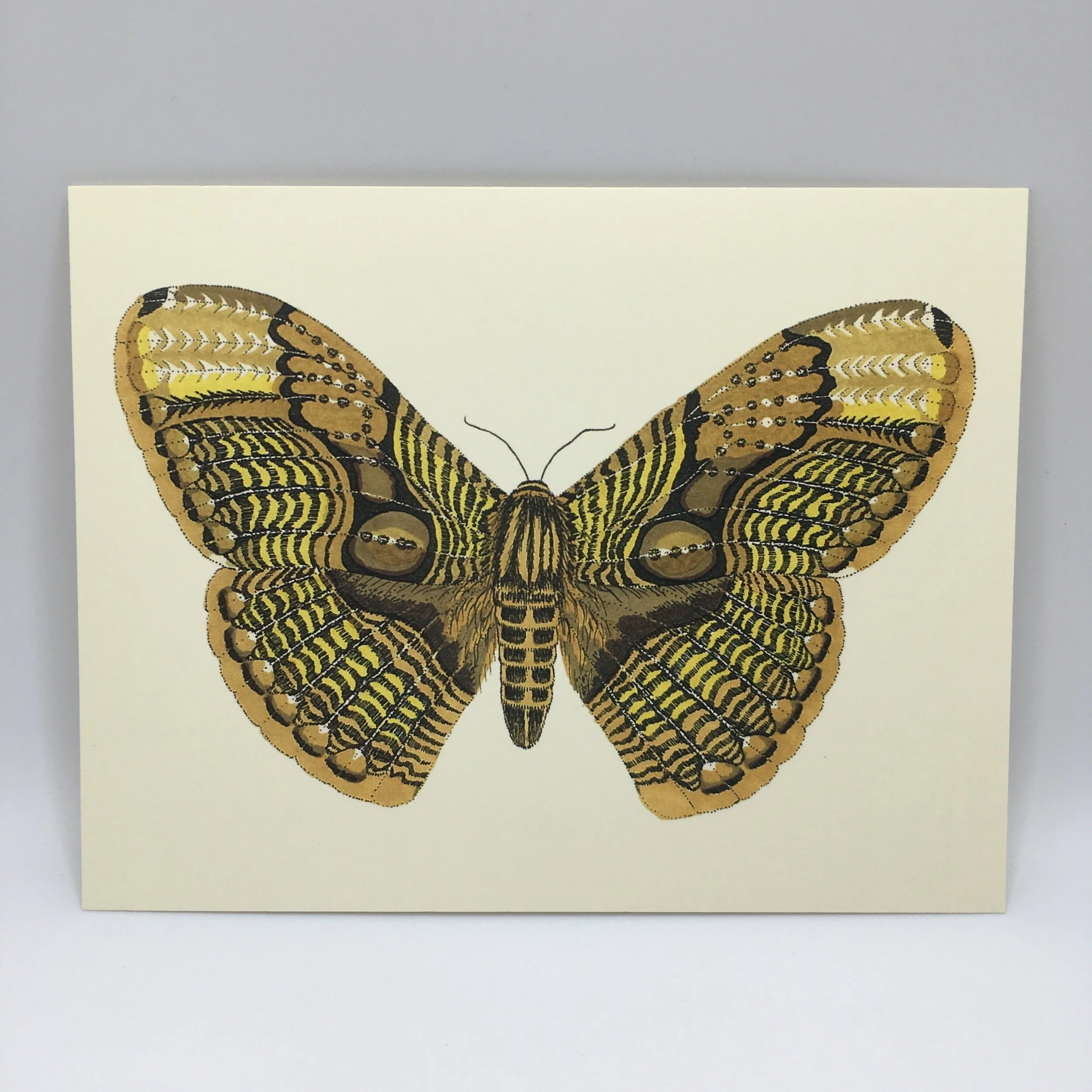 CA72401A-2565-4F52-BDB6-EC76317B4543