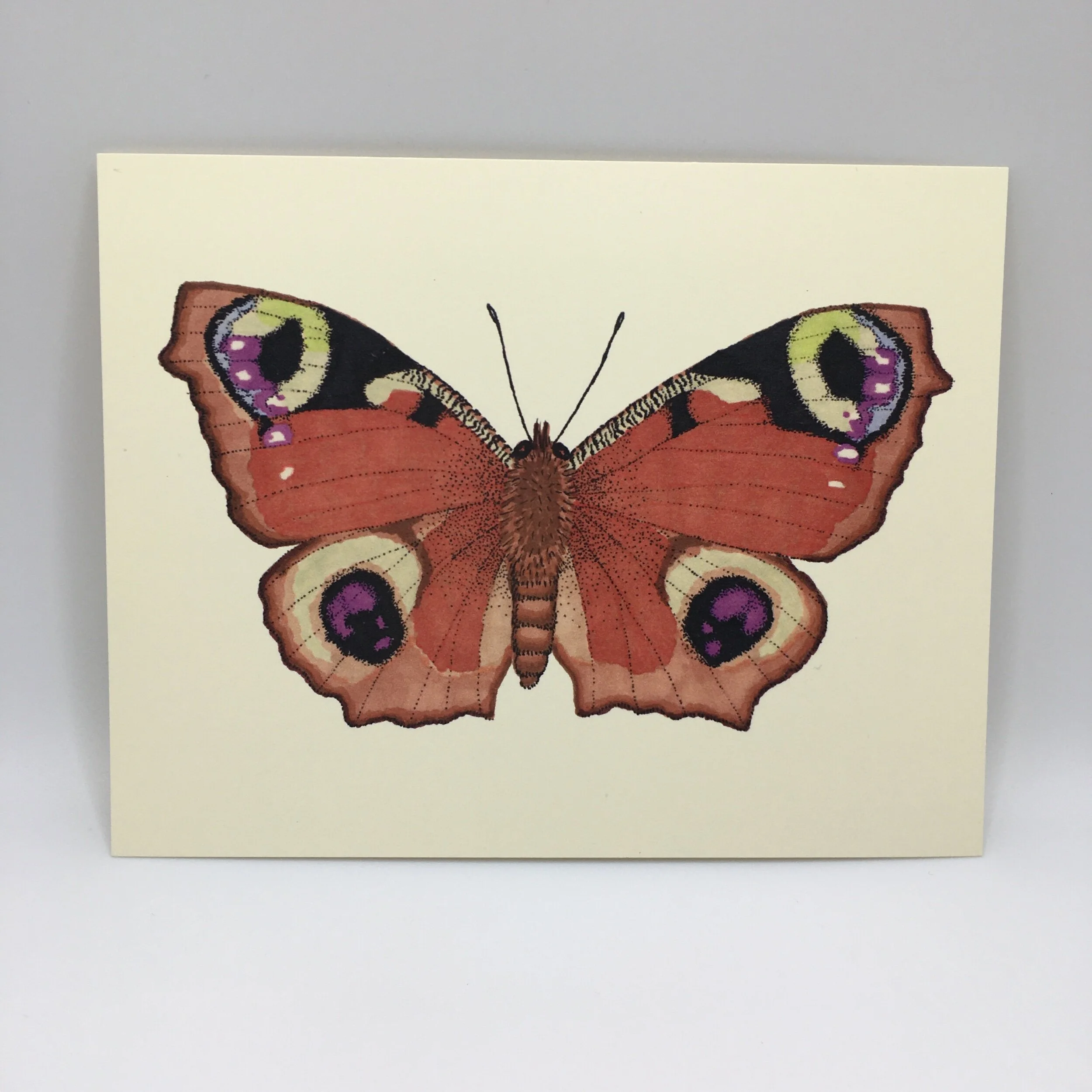 68638DC1-E637-4CCE-8975-B71D43D5E8A0