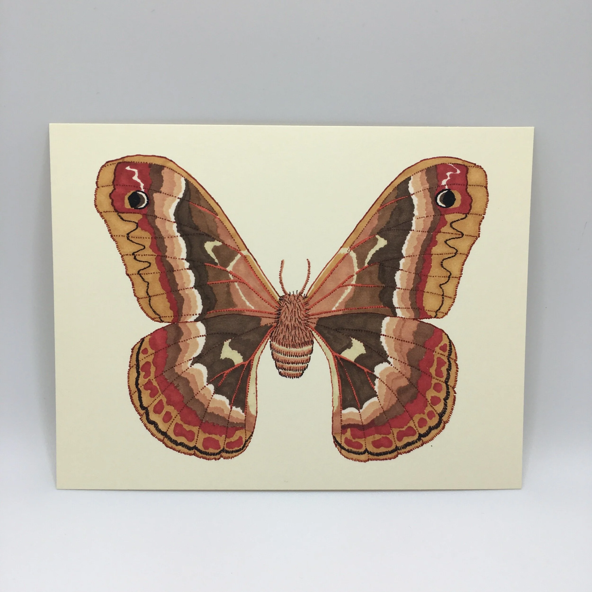 46CFDDD9-1C49-4F41-B5F4-50B023A9606C