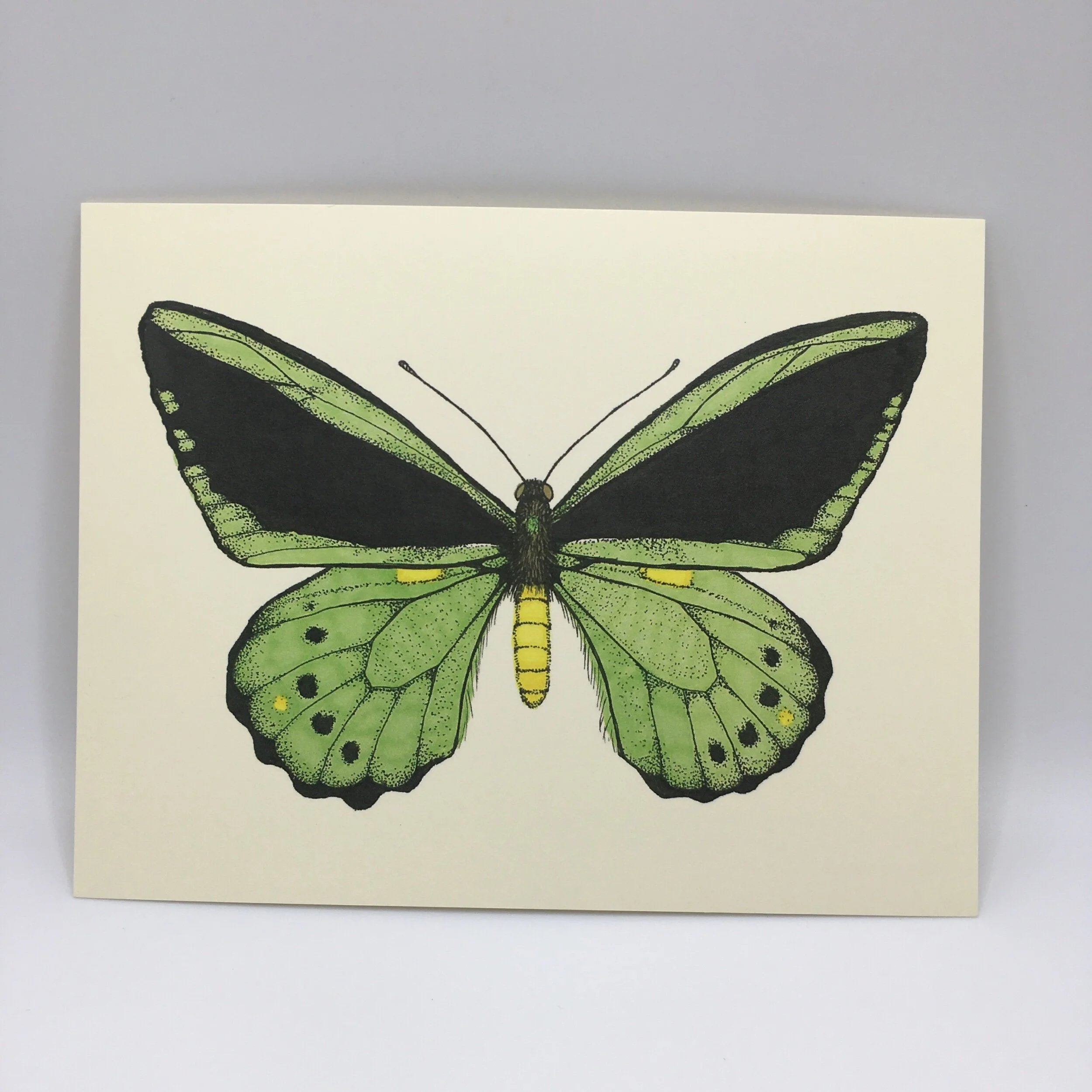 6122A3F3-7C83-4067-935A-E8DD24BCE47C