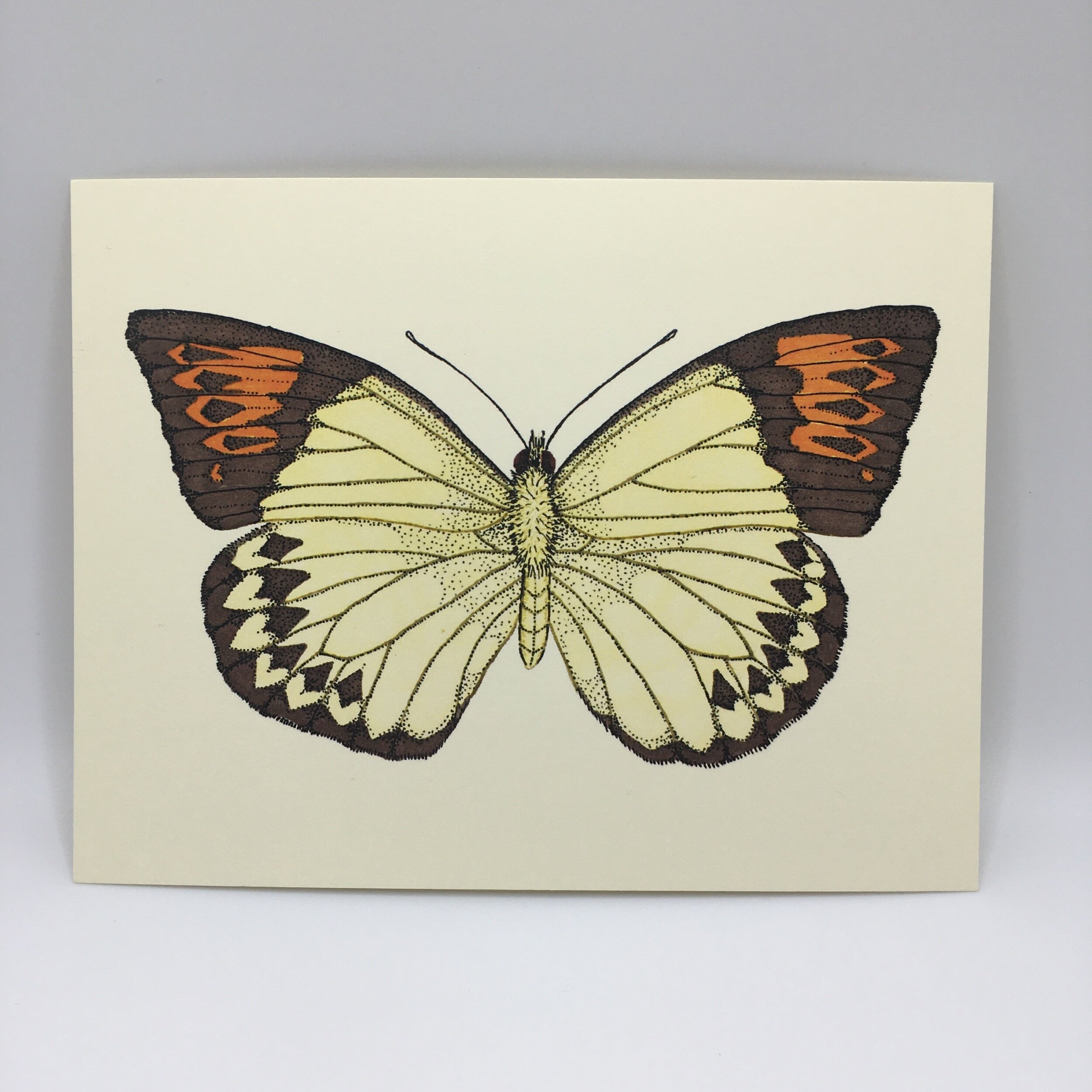 0162122B-CC8A-4A68-9BF1-6D79C7D3E59C