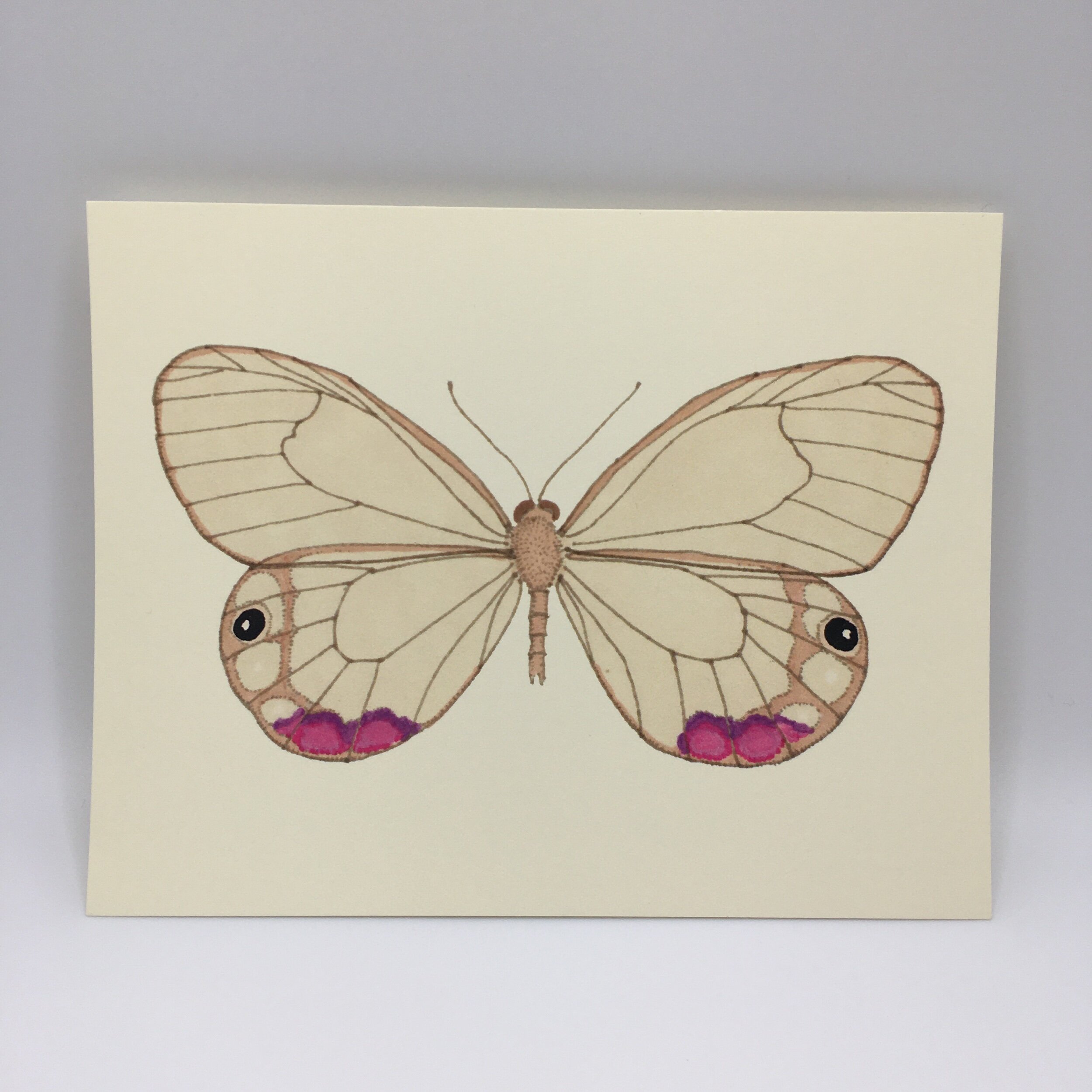 D8DD917B-EFBA-4E6F-A54C-B4773A85B89C