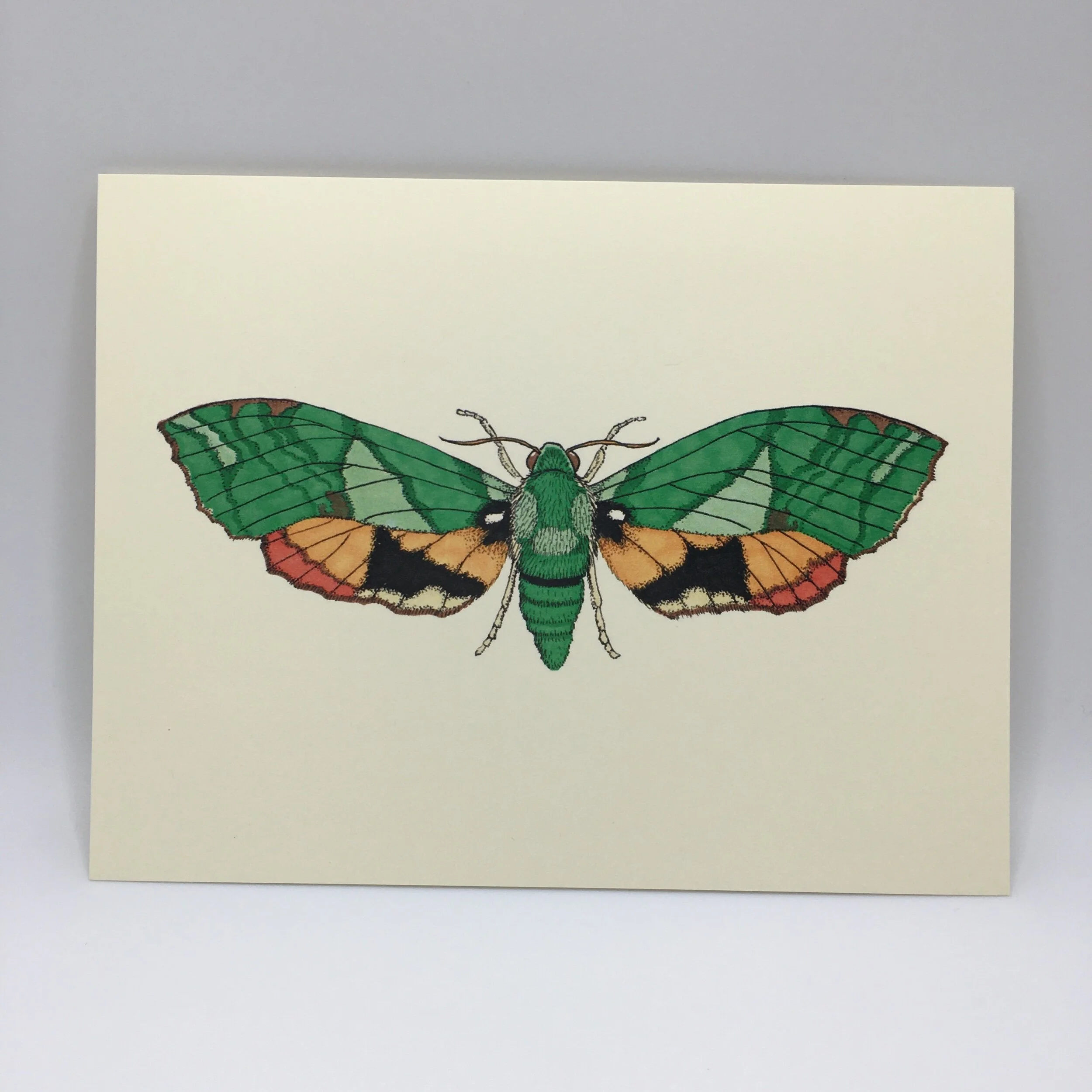 9732DDAE-A099-40F1-BFA9-0BCB8D0ABD78