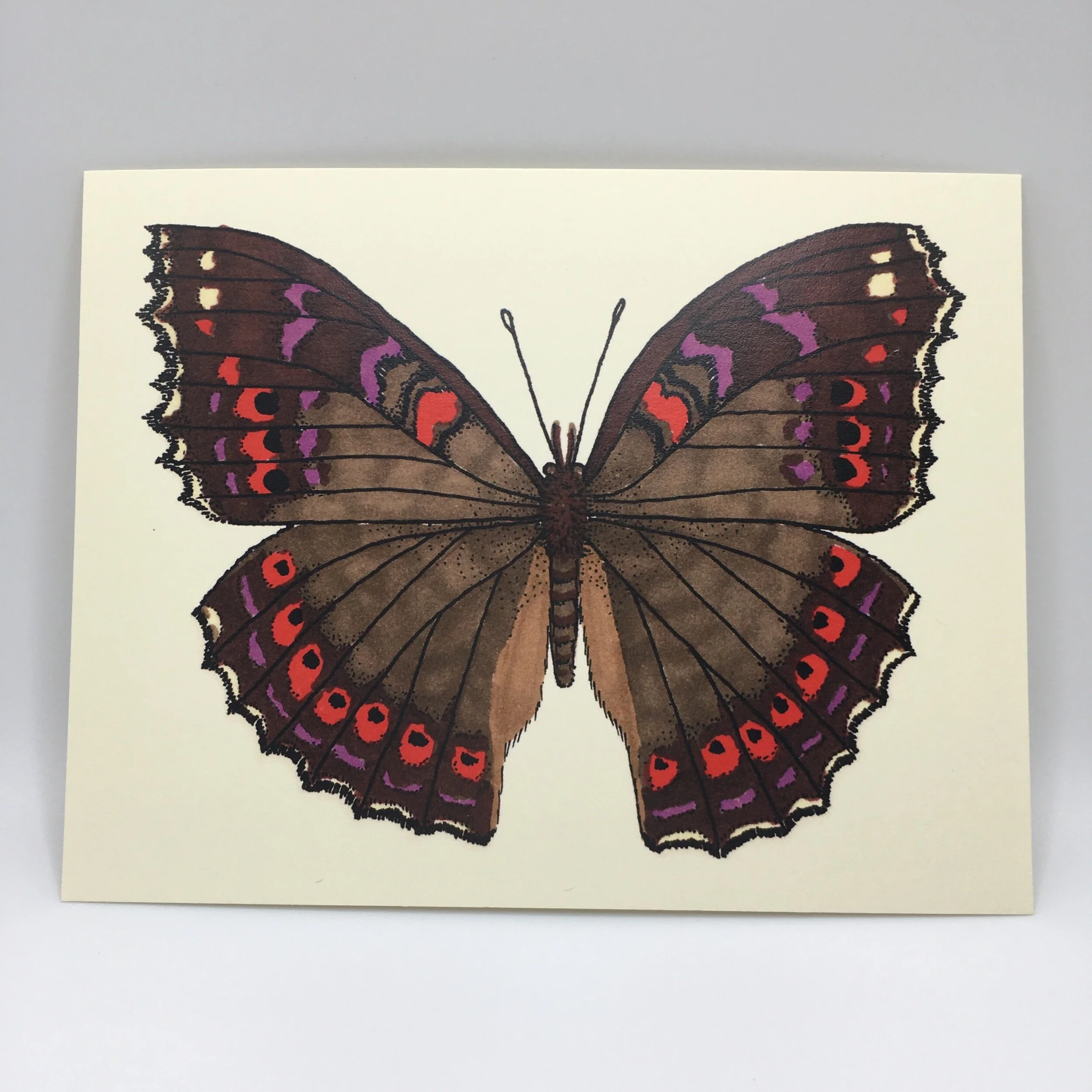 5E711B2B-25BE-4CDE-9BB7-69BFEE32AB38