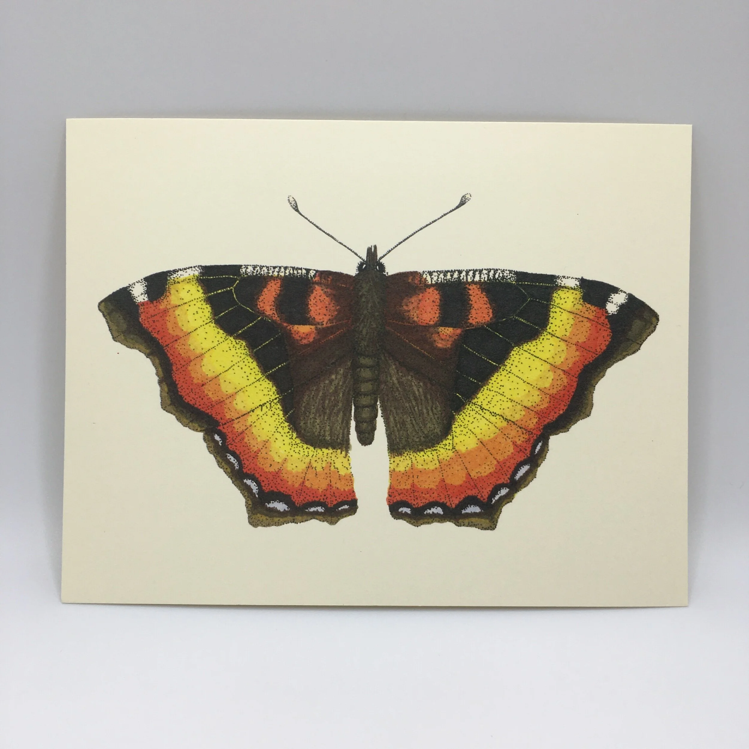 9721E965-CF49-40D4-80E1-6EF1ABA8C04F