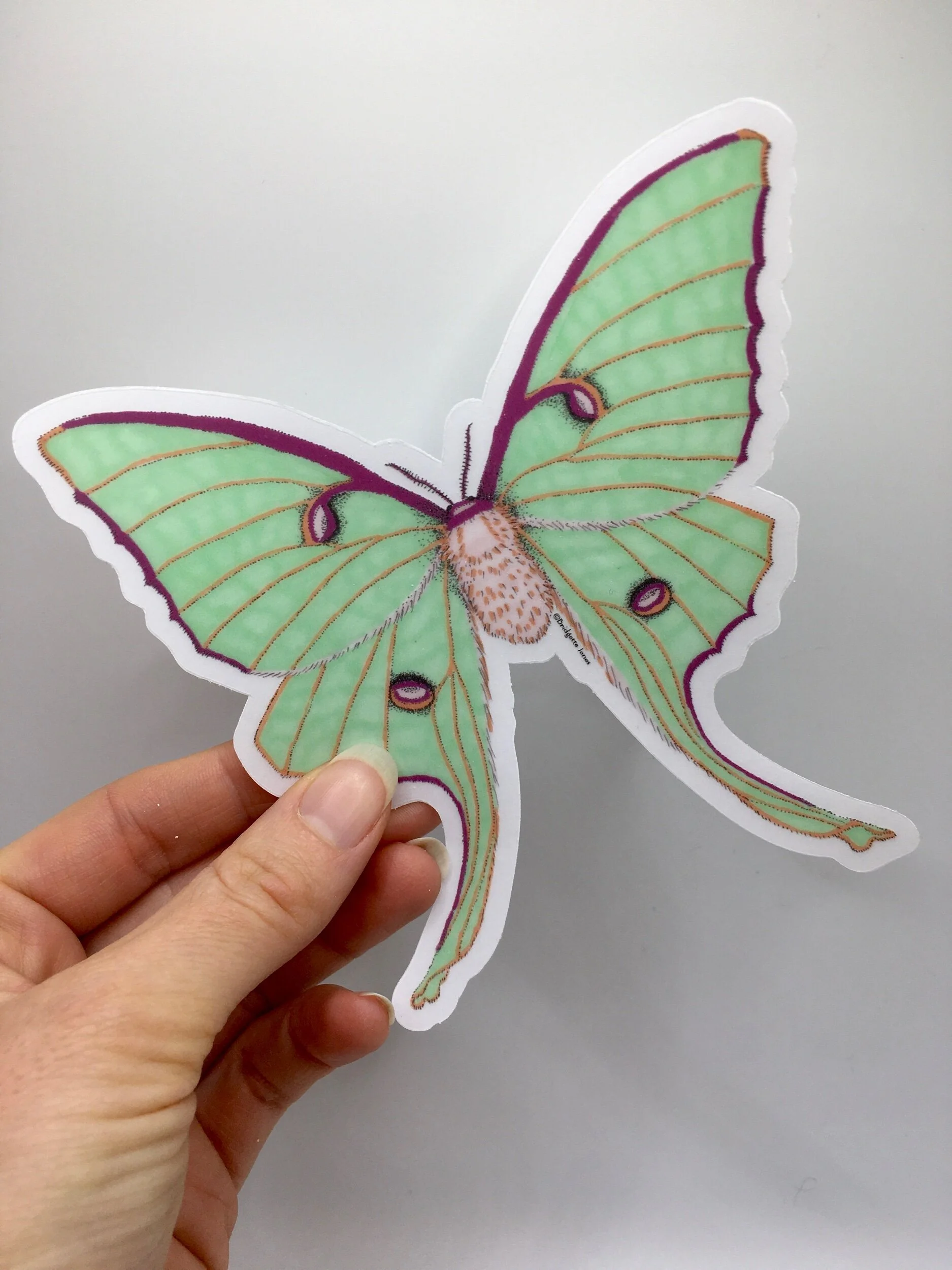 9939A5A4-BB8D-4FD1-8E10-A63D8A45363F