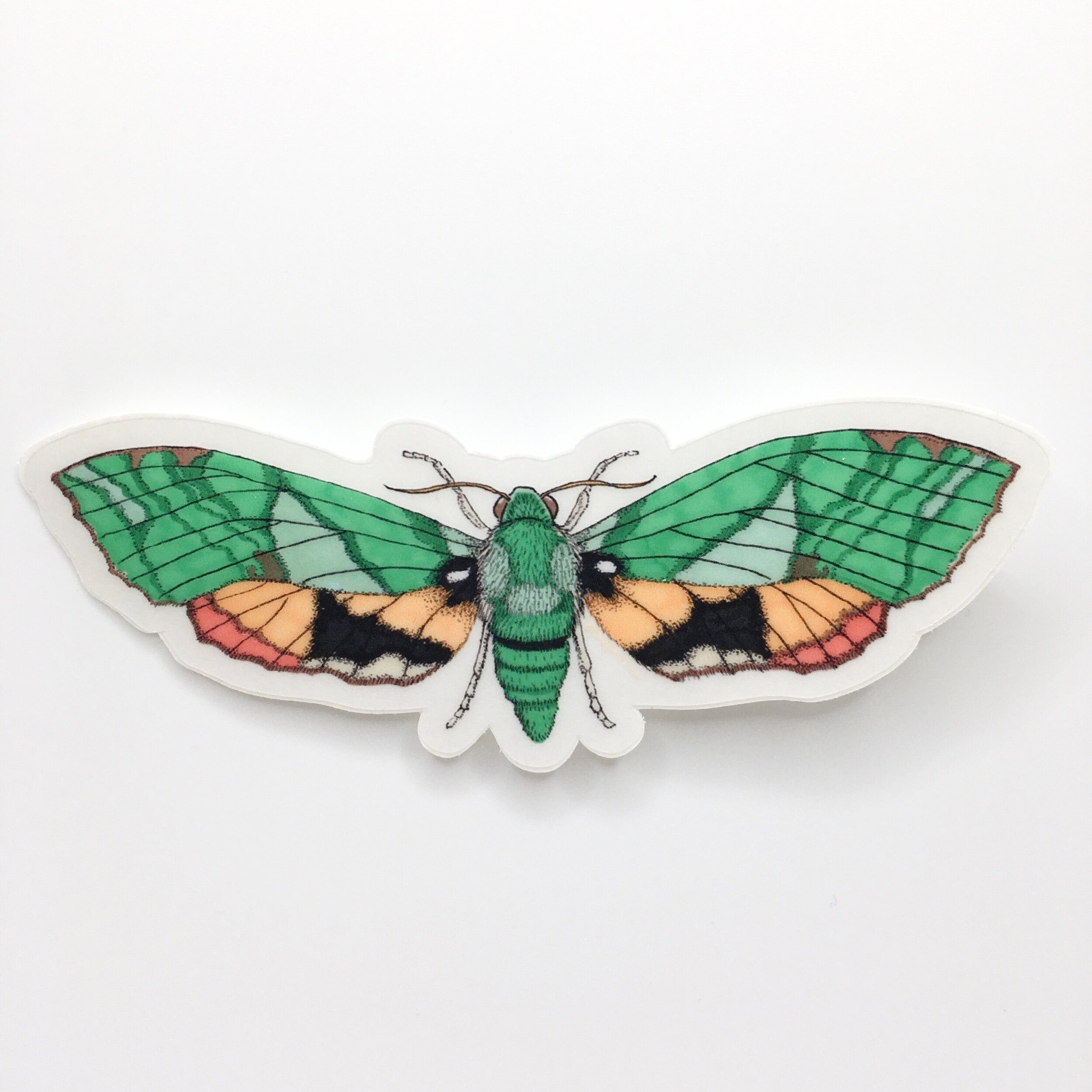 56CD6730-85AA-4FD5-B4E3-90DCAE651560