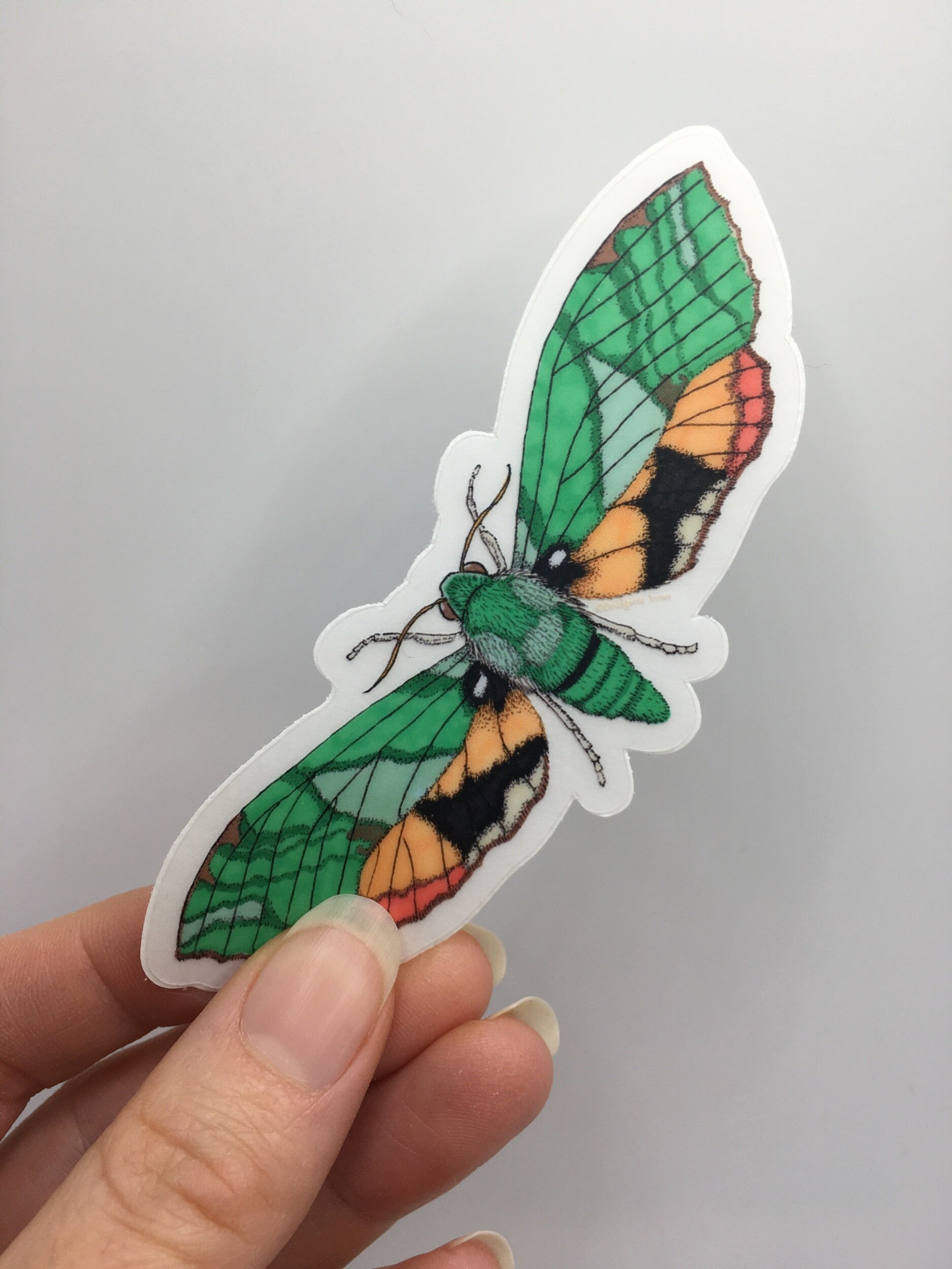 B968B9BB-2FF8-453C-8A0A-FC6E8ACA3559