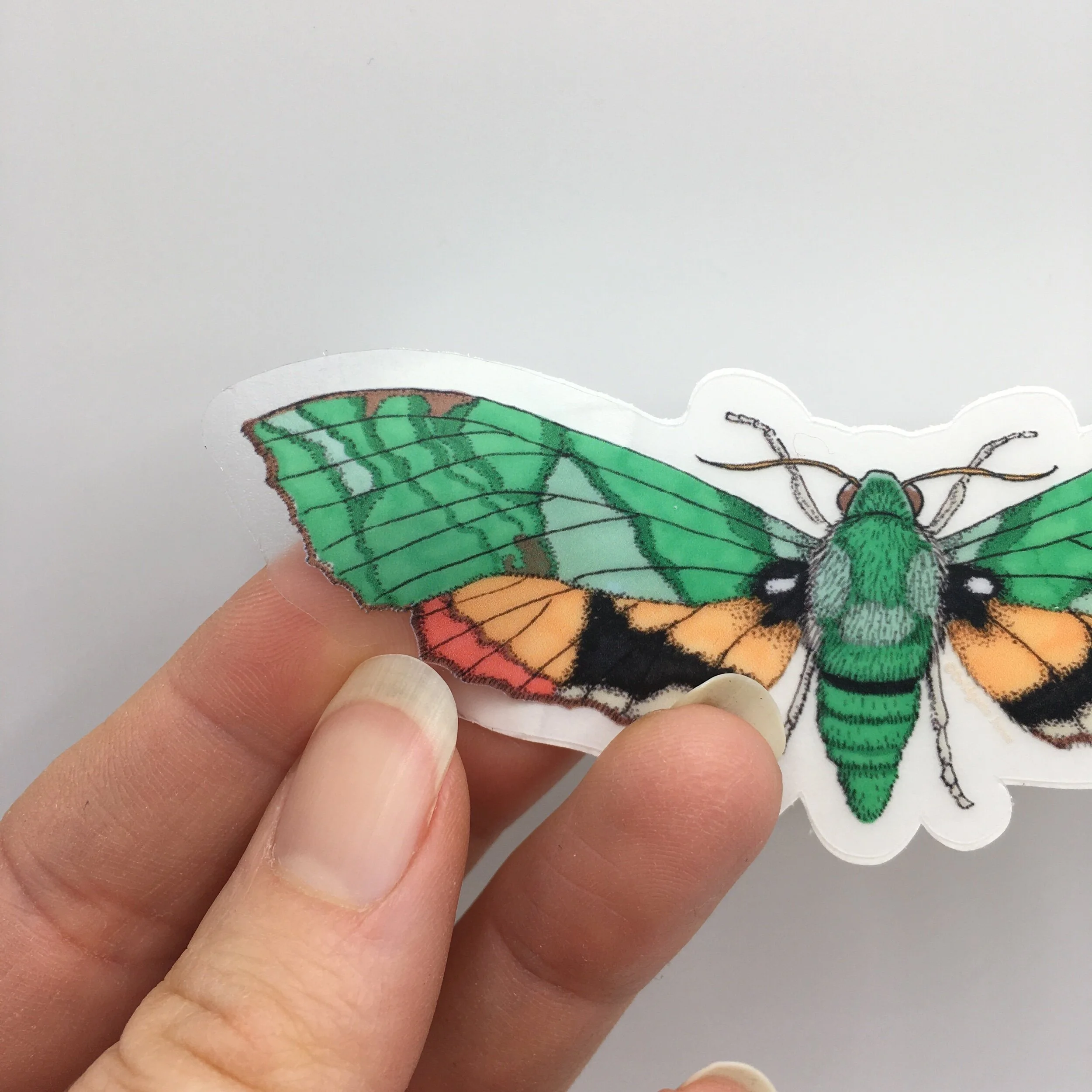 52E50465-DCB9-45DF-87DD-3512D3A9AFCE