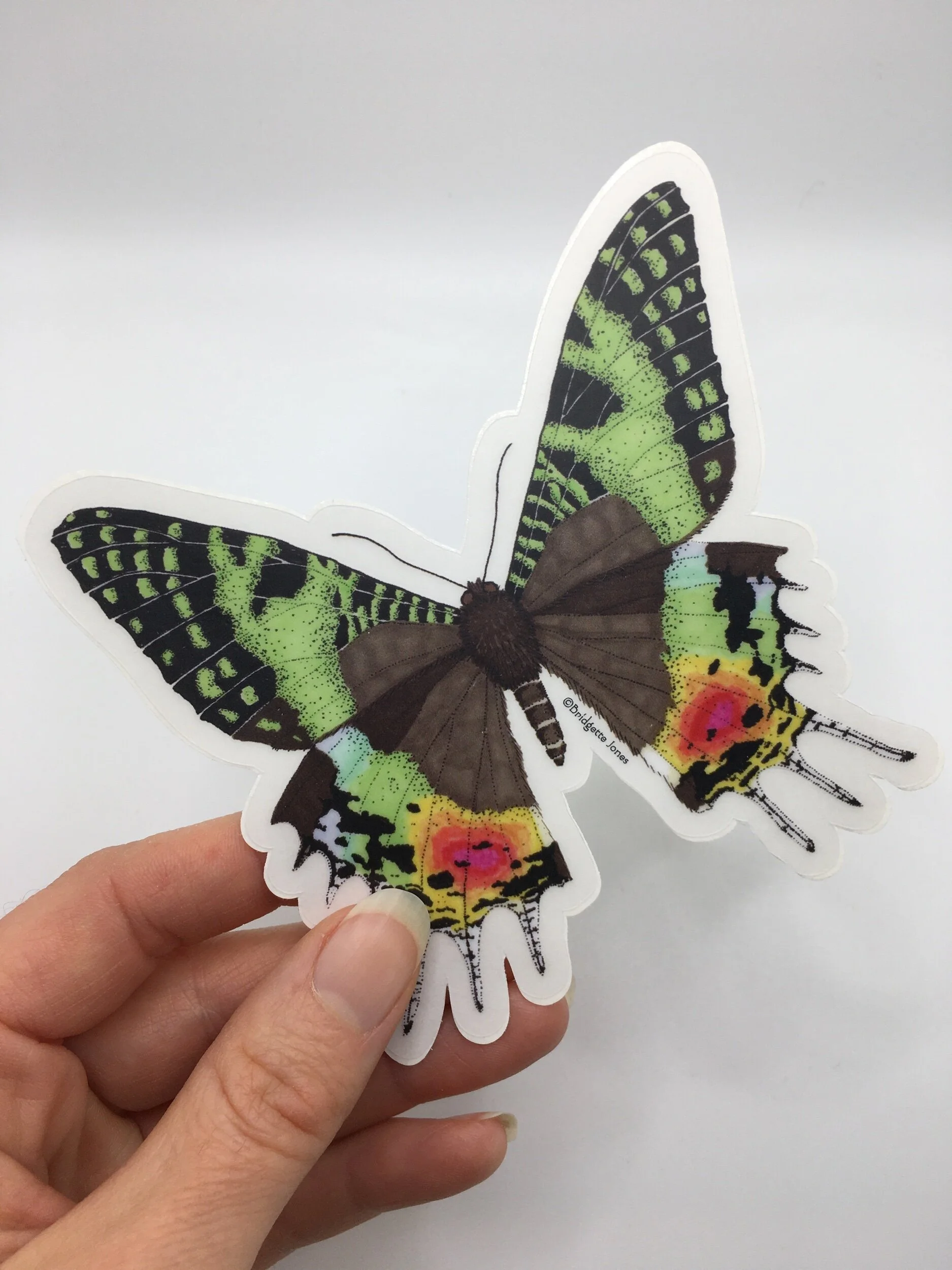 1CCDCC01-21F5-47E3-B3BA-4988D3363900