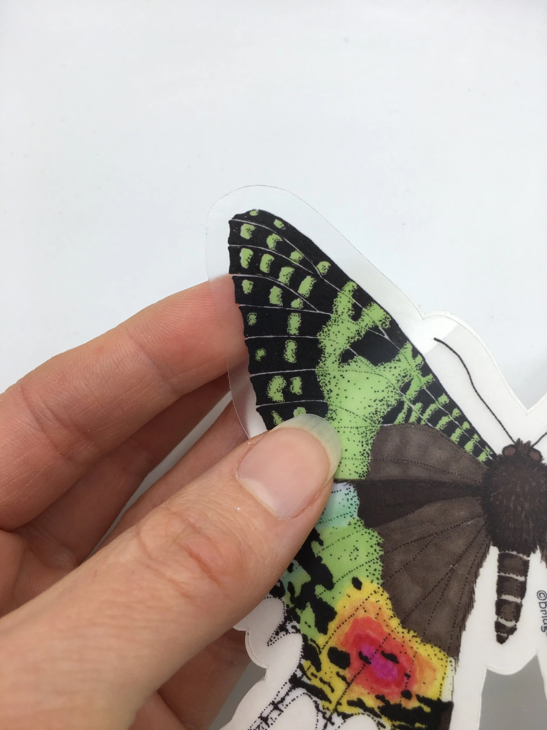 56786C0F-2113-4746-B236-EF011AD15847