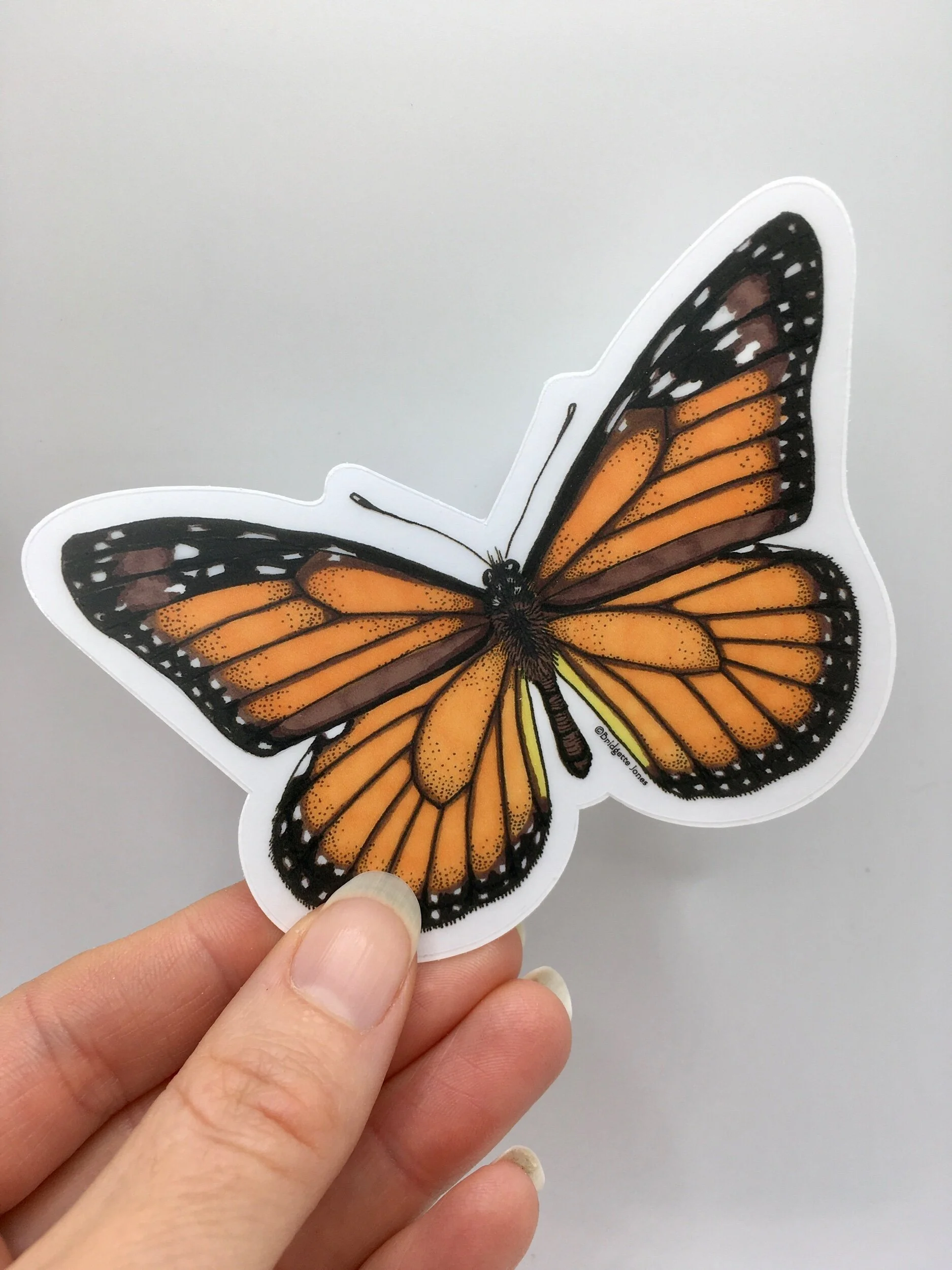 5B80B73F-7757-415B-B26C-194FF17FD309