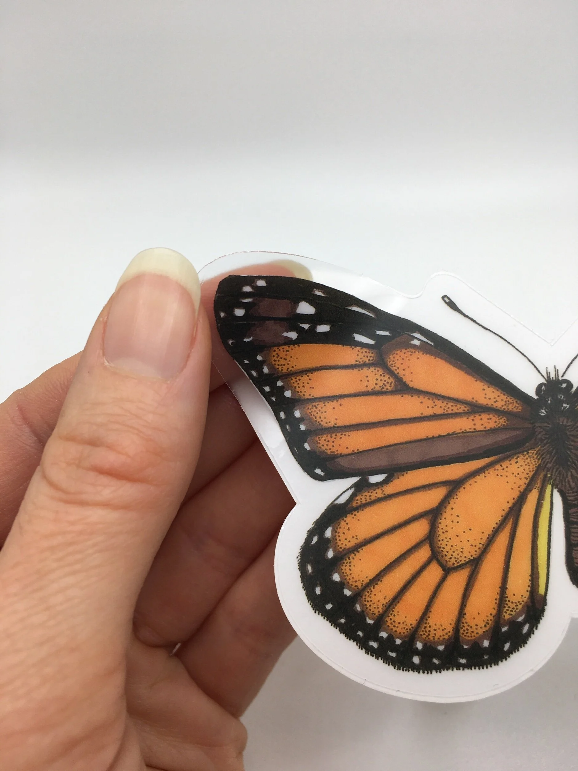 8BF5CB92-F00E-4D3C-87CF-73333BD62703