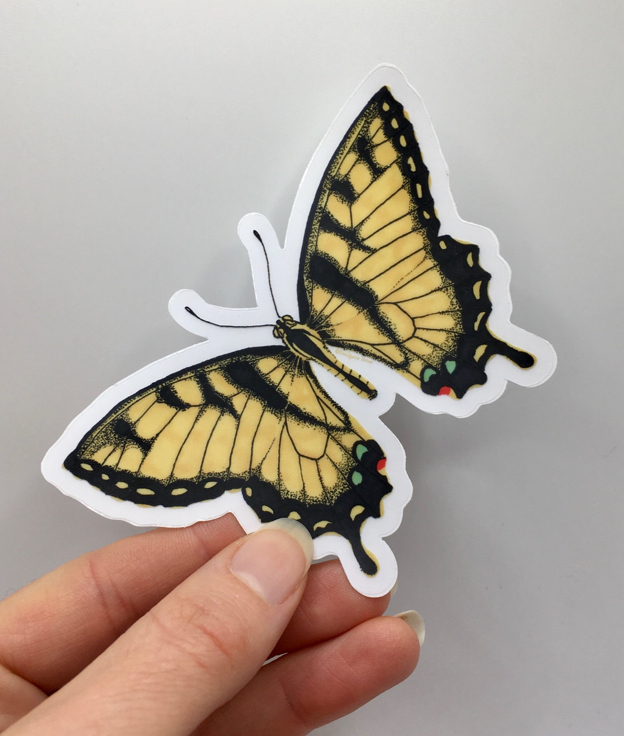 19F30423-9FFD-459B-8C9C-27A4BE84AA2F