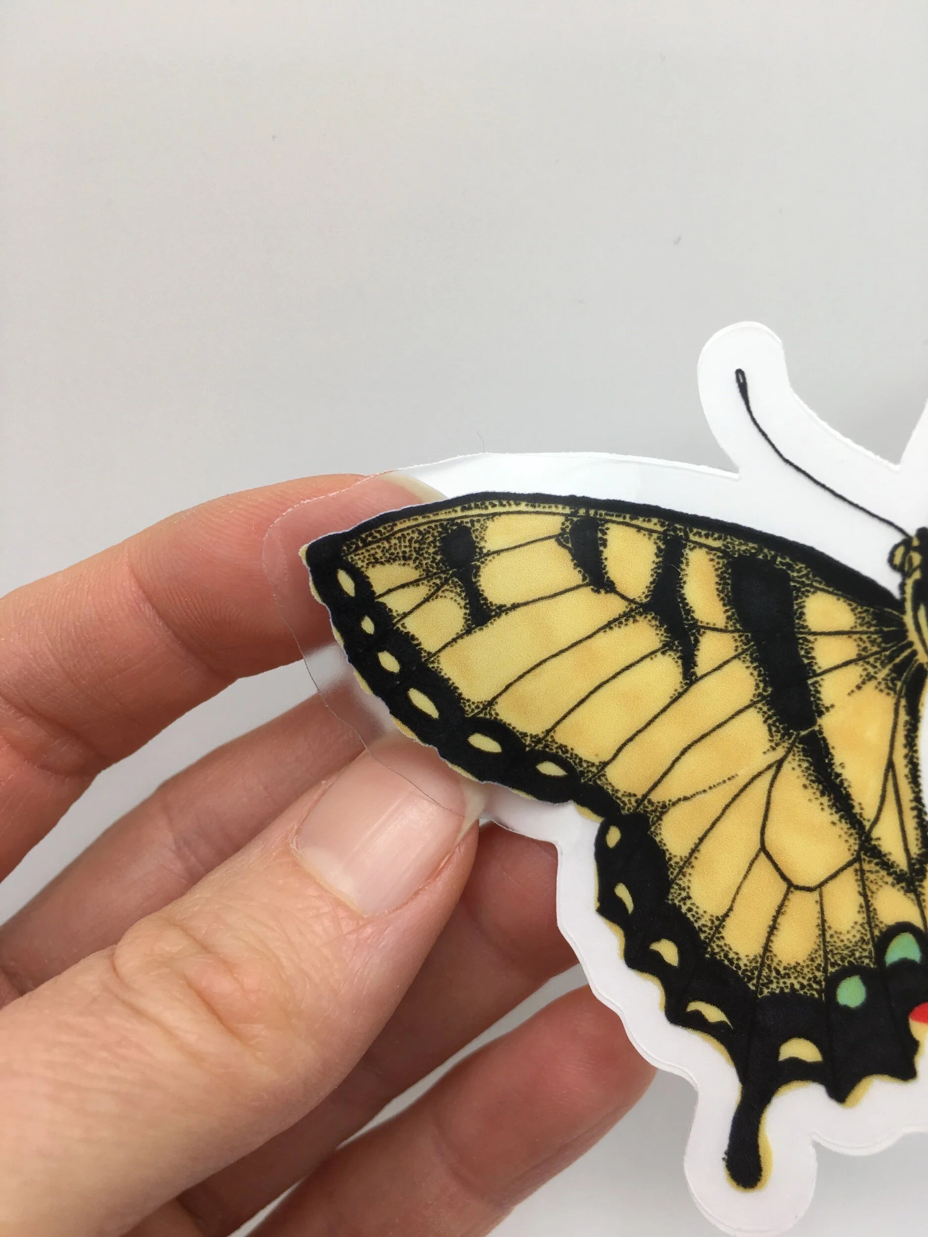 C00F5D5B-9AFC-426E-8777-1B3891DB38D2