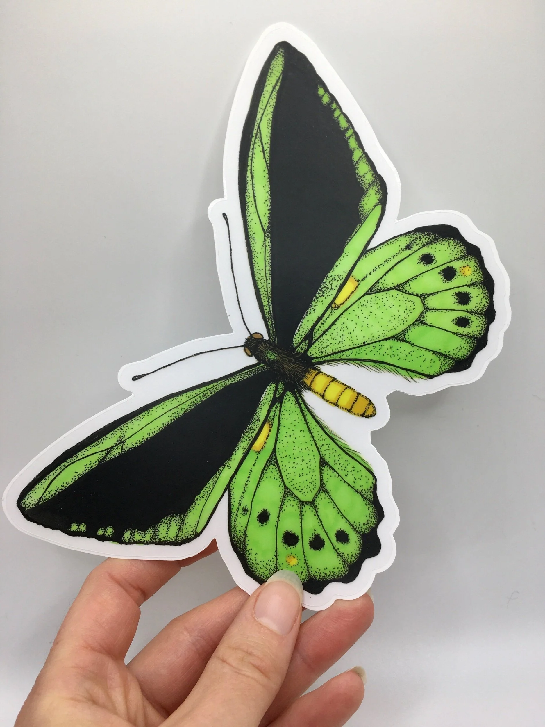 6F519FF4-9AB2-473B-AE51-BEB415F307B5