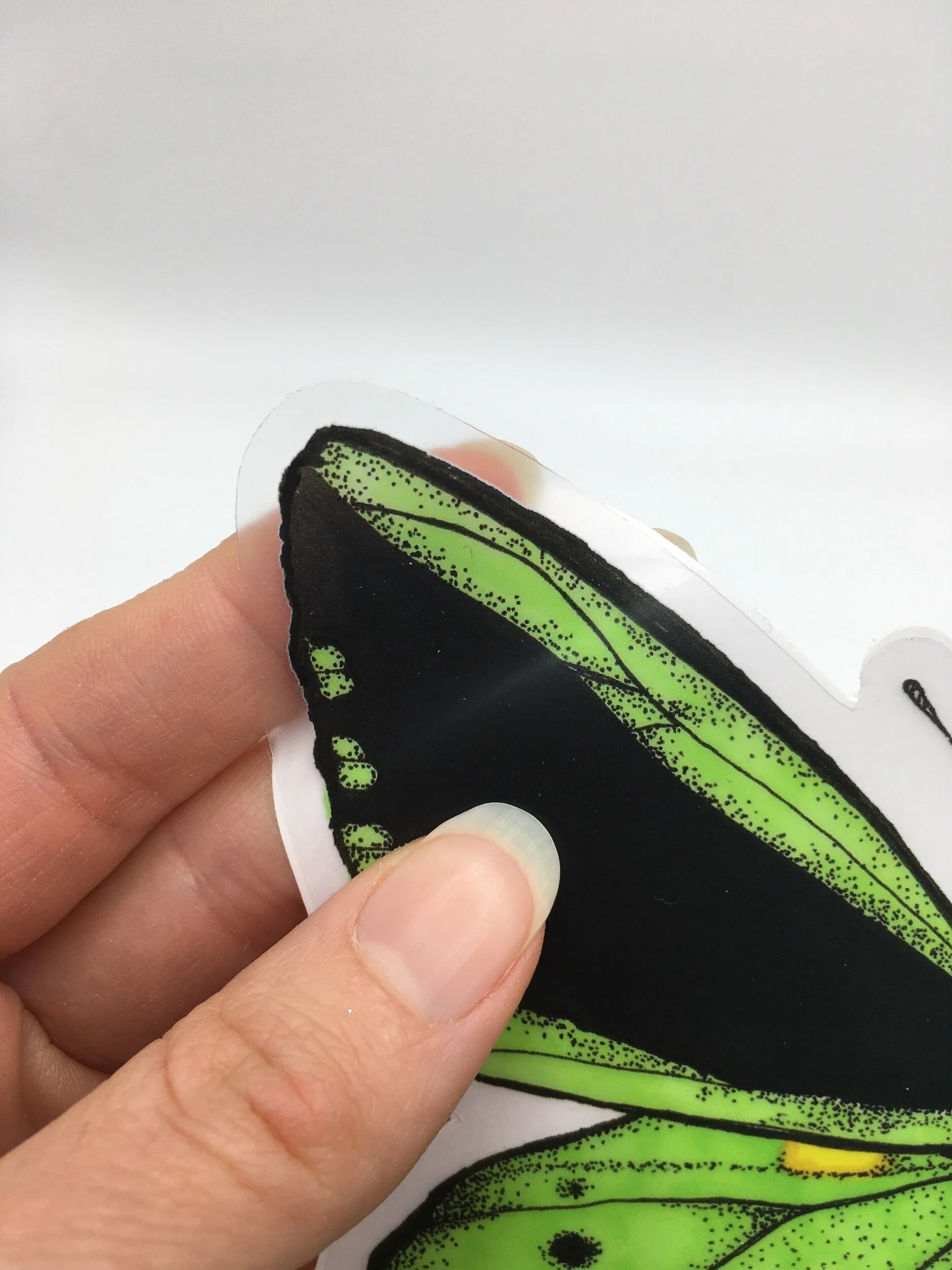 205360D4-5E53-4B62-BCBA-53AF40B39384