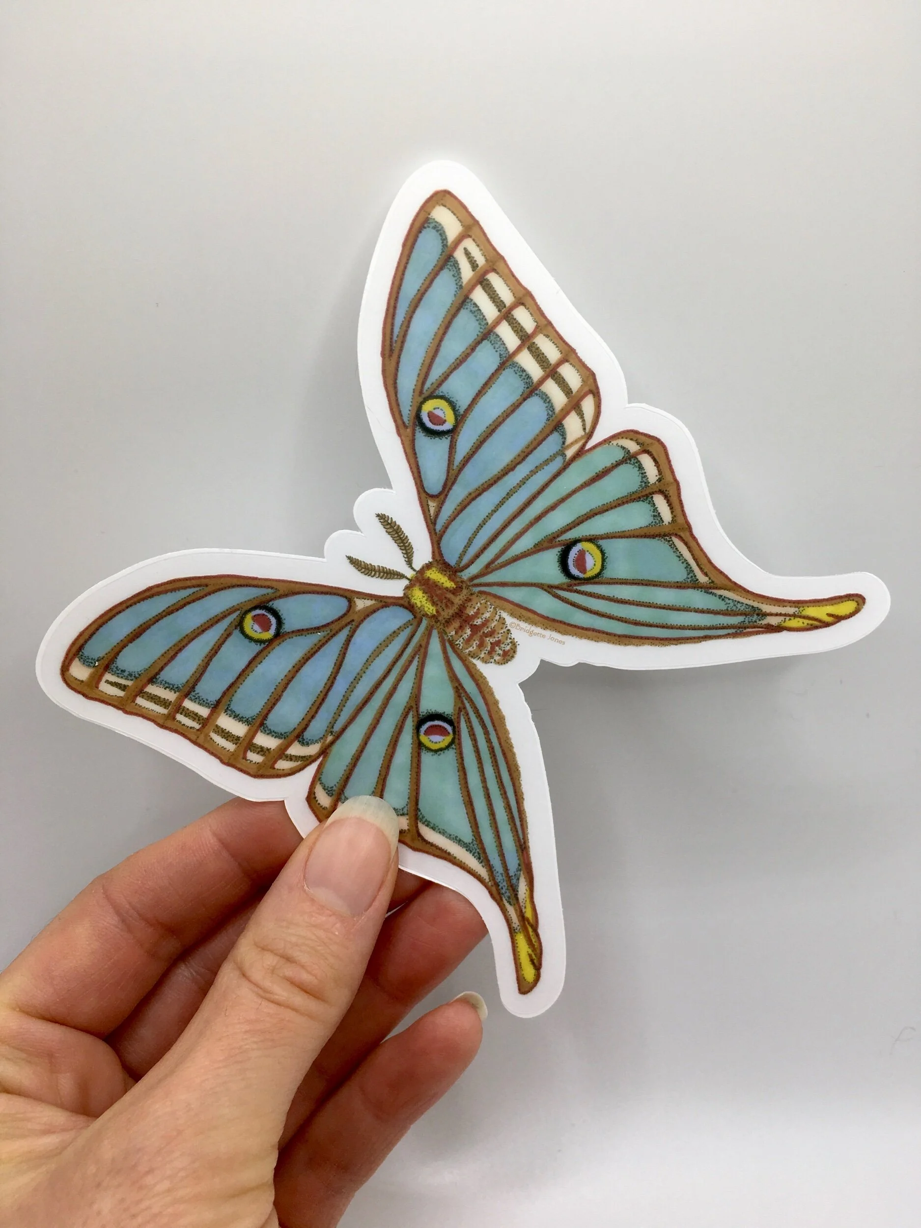 C7A39EA2-1597-482F-B0F6-61D60ABE56C0