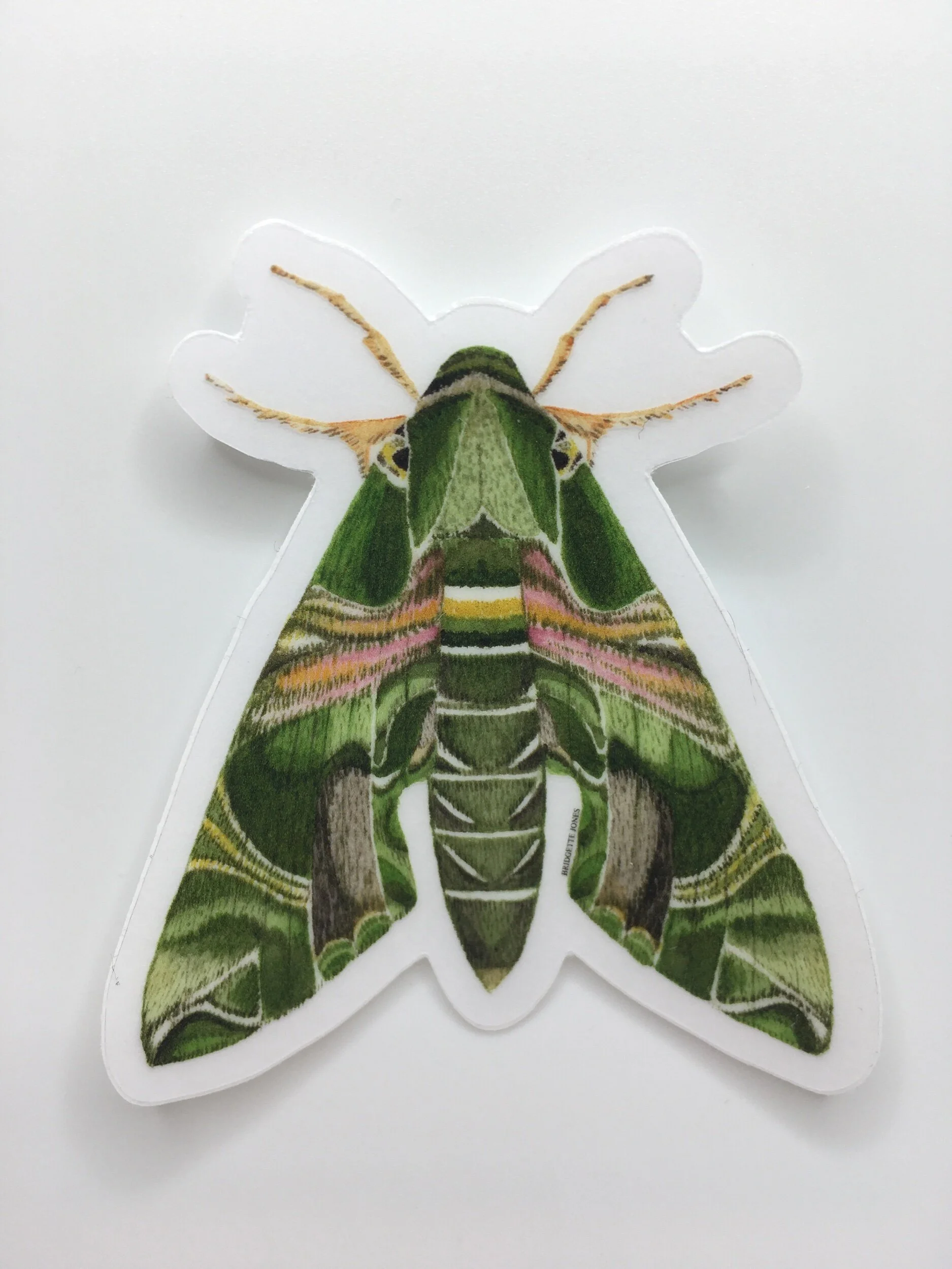 DA7F9684-C6A0-439A-AB19-6DE9C44E98AD