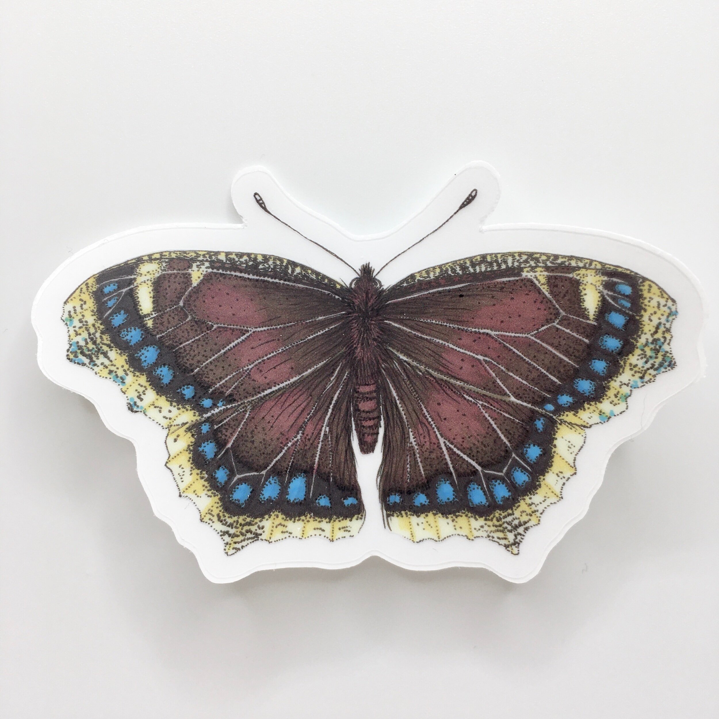 84A89B5A-9D50-488B-B472-835441B10758