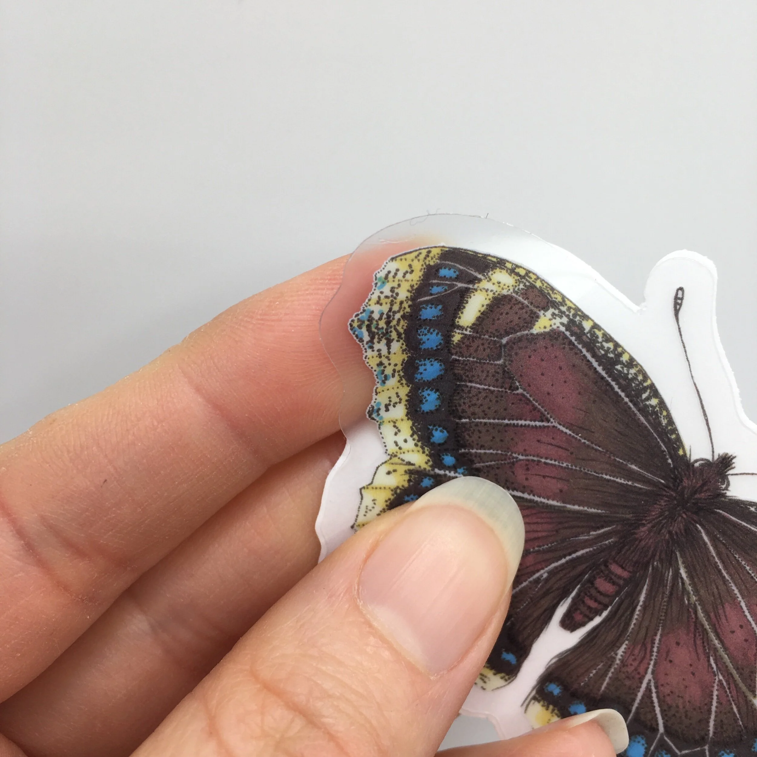 2376D817-C7DE-42C7-A80F-1227AD0F911D